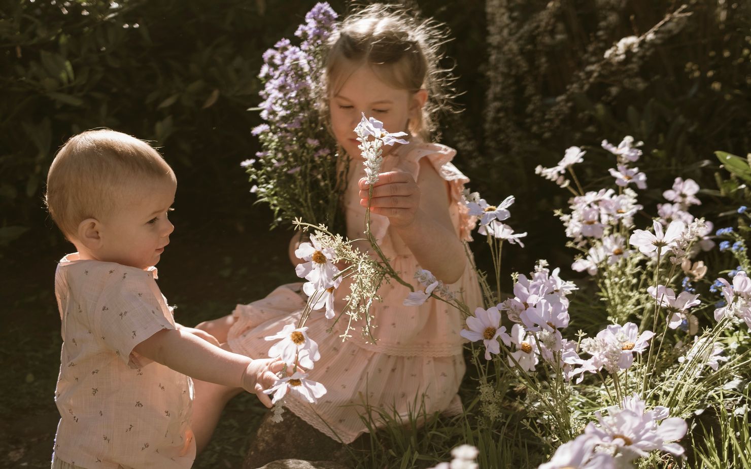 Newbie limited edition collection | Online exclusive | Newbie