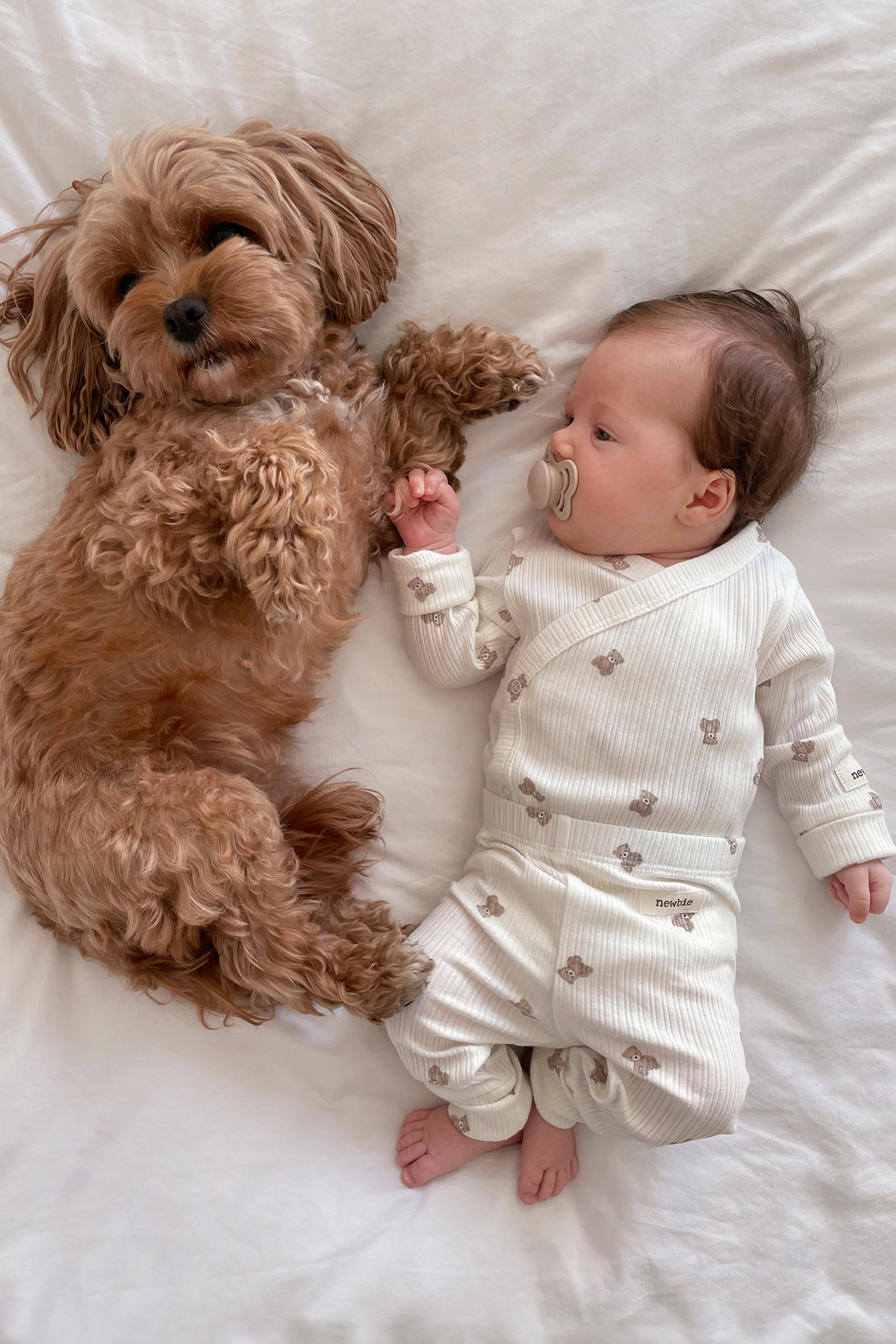 Babyjunge neben einem flauschigen Hund