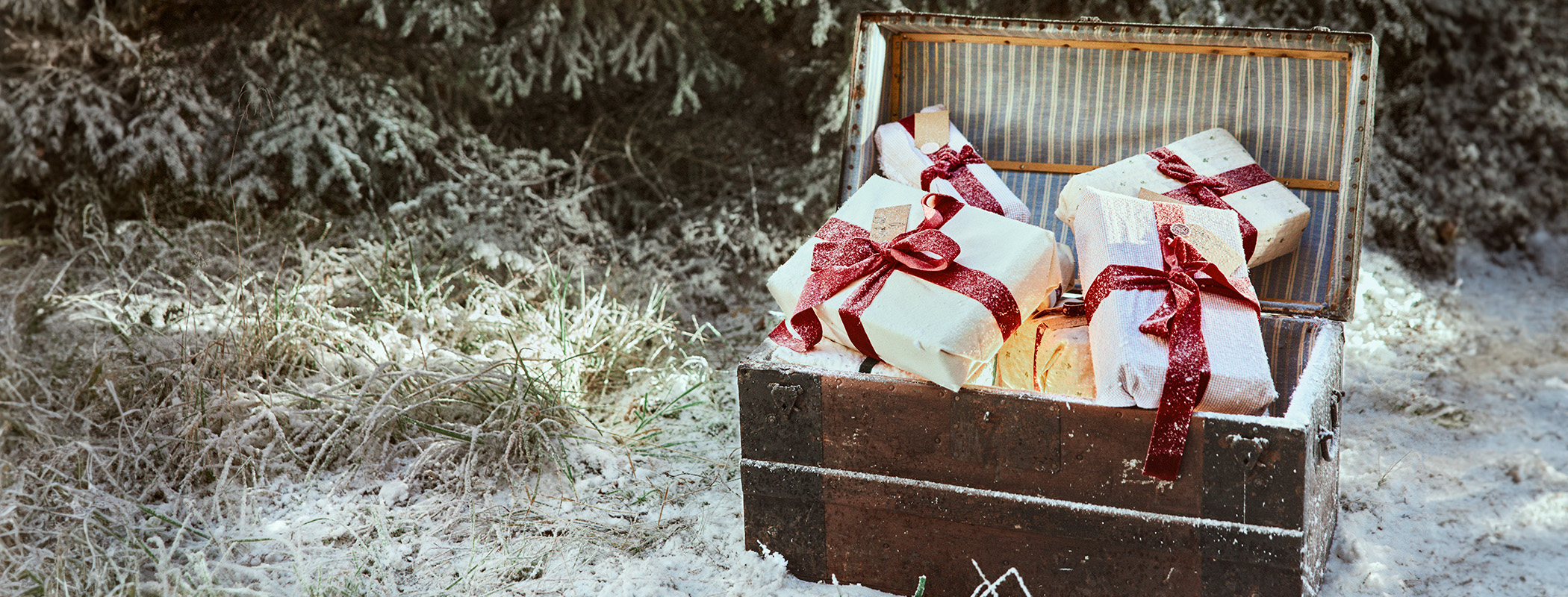 Verpackte Weihnachtsgeschenke mit roten Schleifen in einer offenen alten Truhe im verschneiten Wald