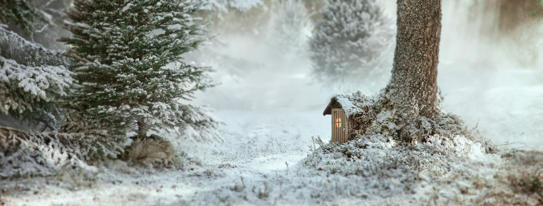 Verschneiter Wald mit Tannenbäumen und einer kleinen leuchtenden Laterne neben einem Baumstamm