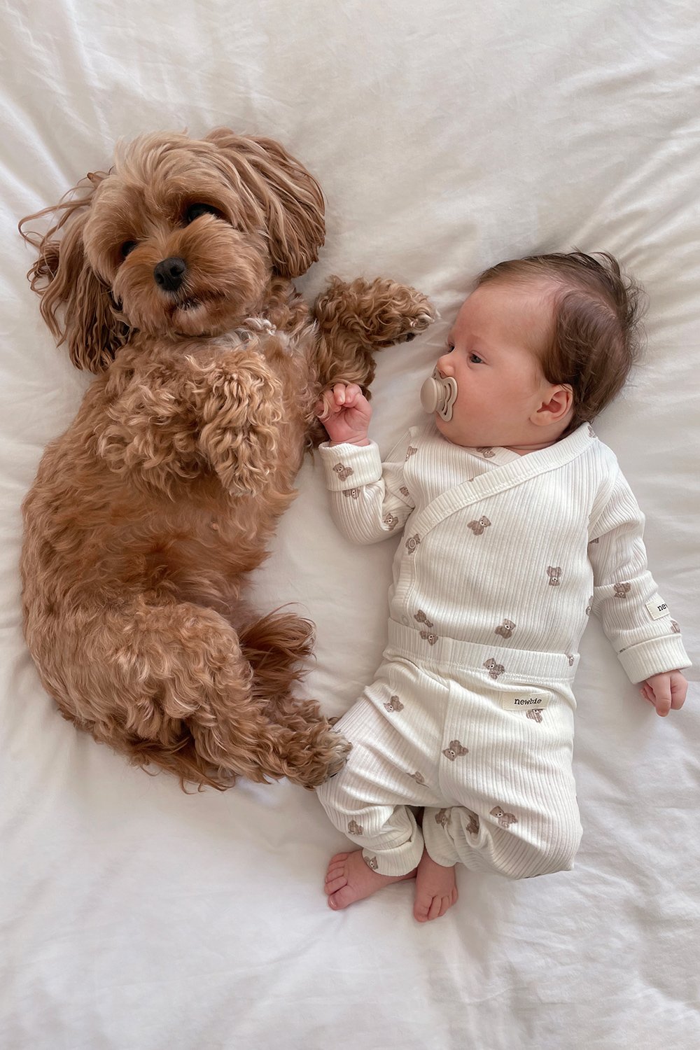 Dog lying next to a baby on white bedding, baby wearing a soft ribbed wrap top and pants in light tones.