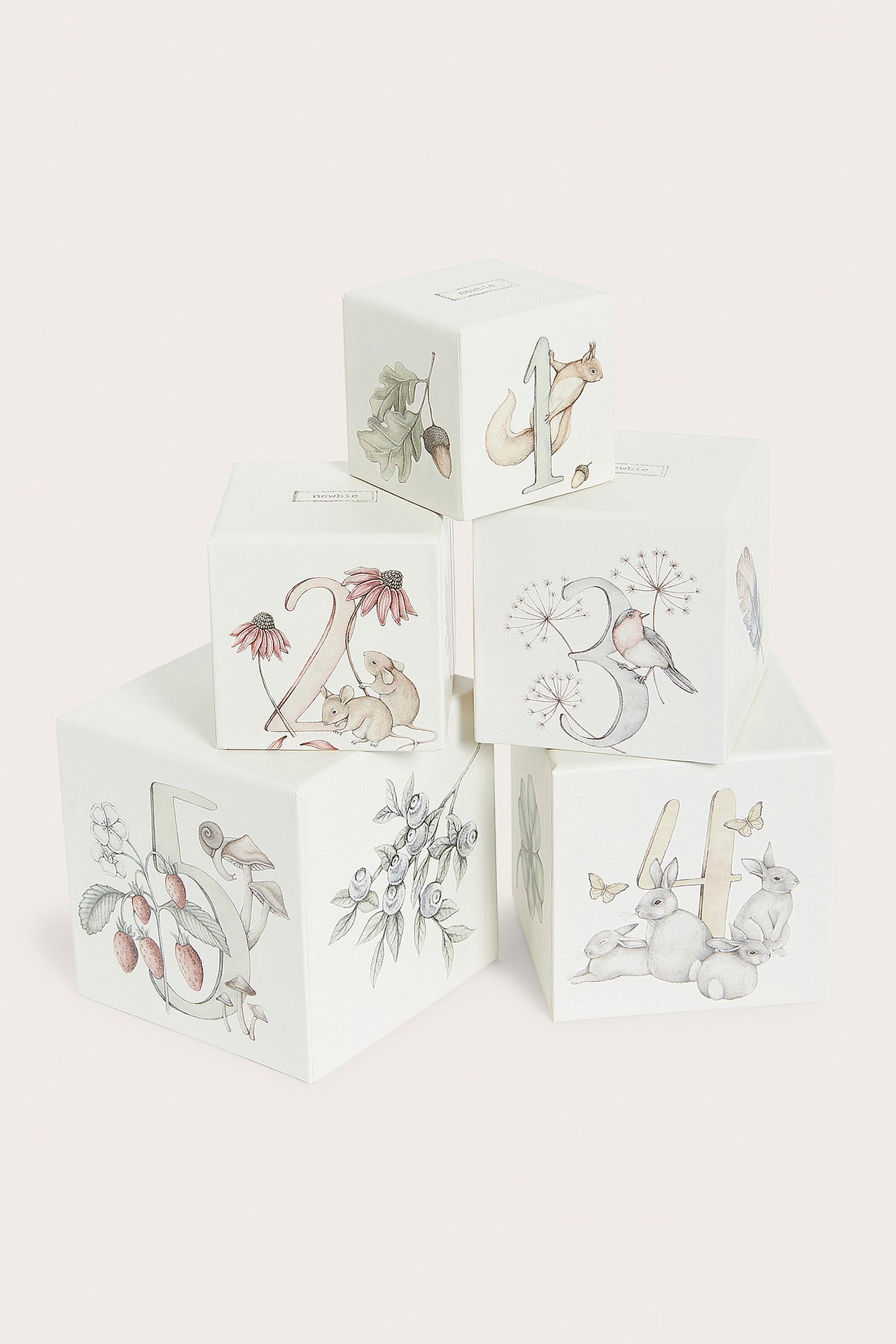 Vorderansicht von sechs cremefarbenen, gemusterten Papier-Stapelblöcken mit Naturillustrationen und Zahlen.