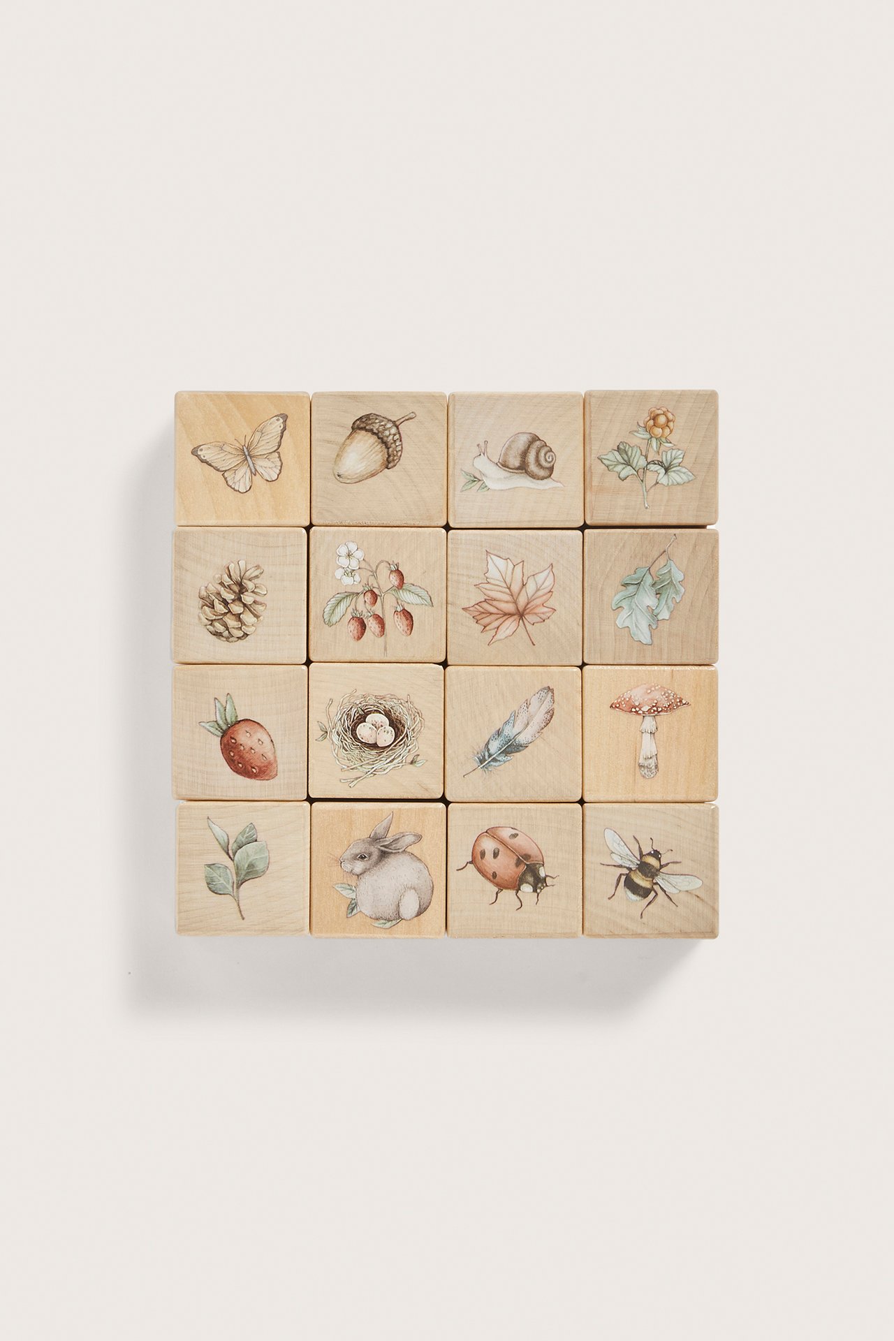 Front view of sixteen light brown wooden blocks, each with a different nature-themed illustration.