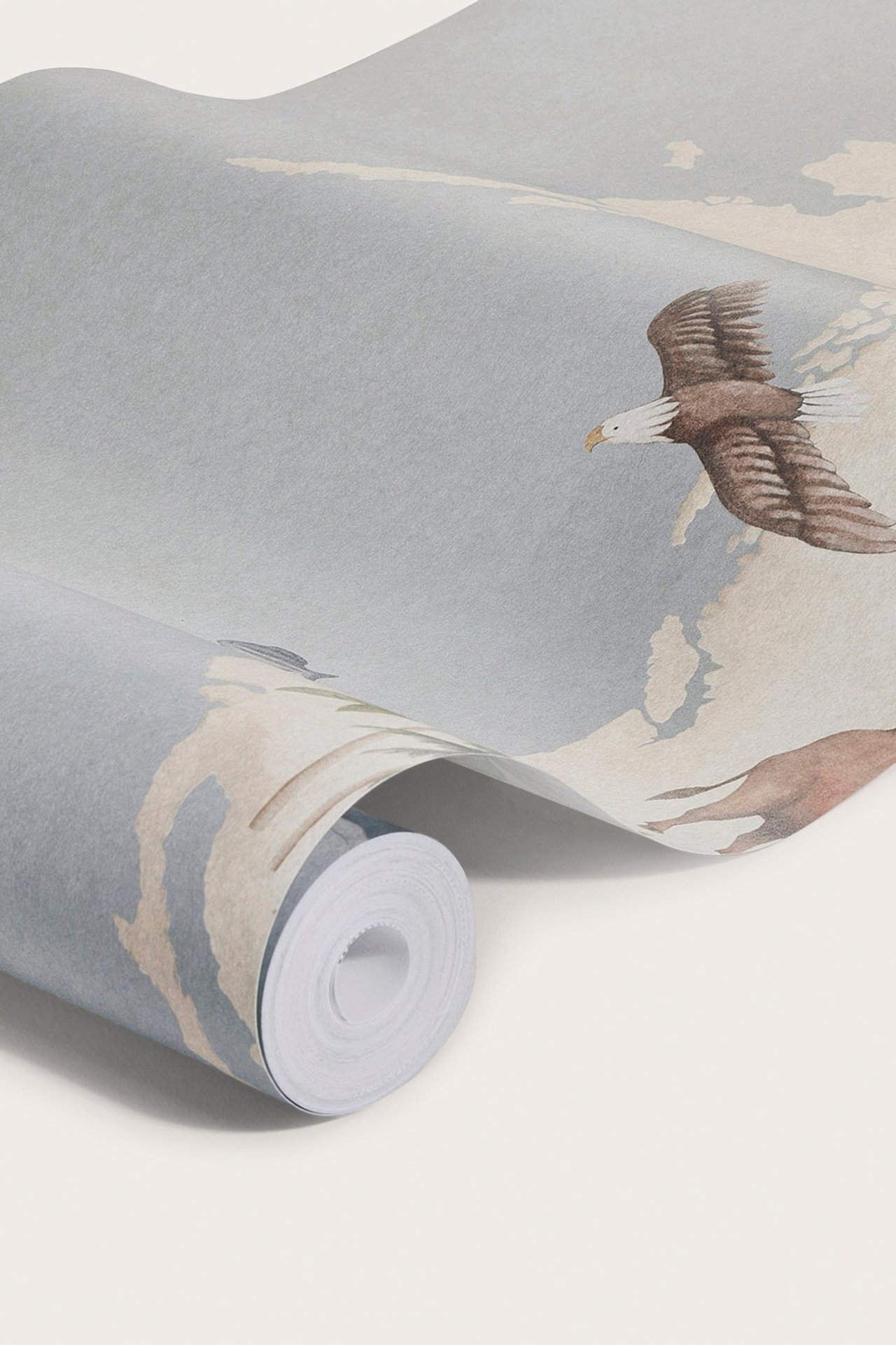 Close-up of light blue paper wallpaper roll with a world map and eagle pattern.