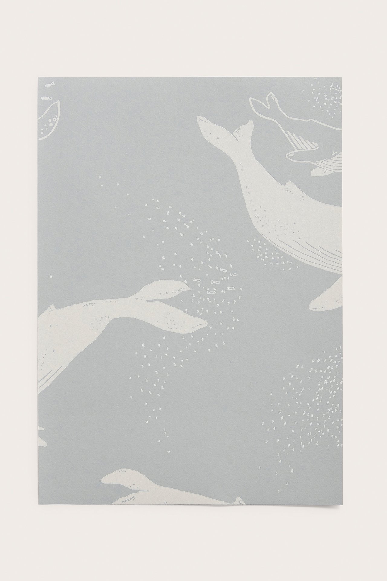 Close-up of a light blue paper wallpaper sample with a white whale pattern and small bubbles.