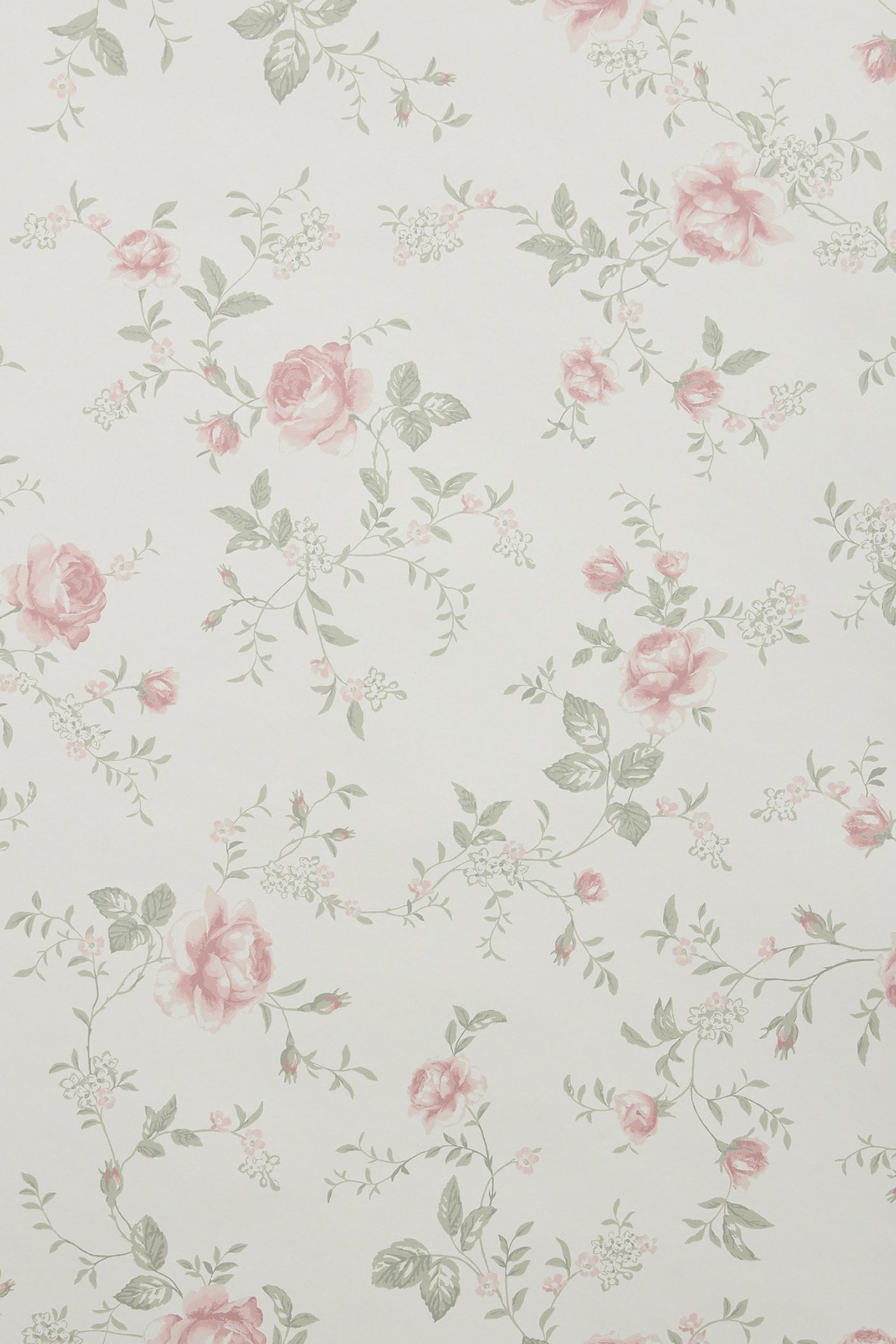 Nahaufnahme von weißer floraler Tapete mit hellrosa Rosen und graugrünen Blättern.