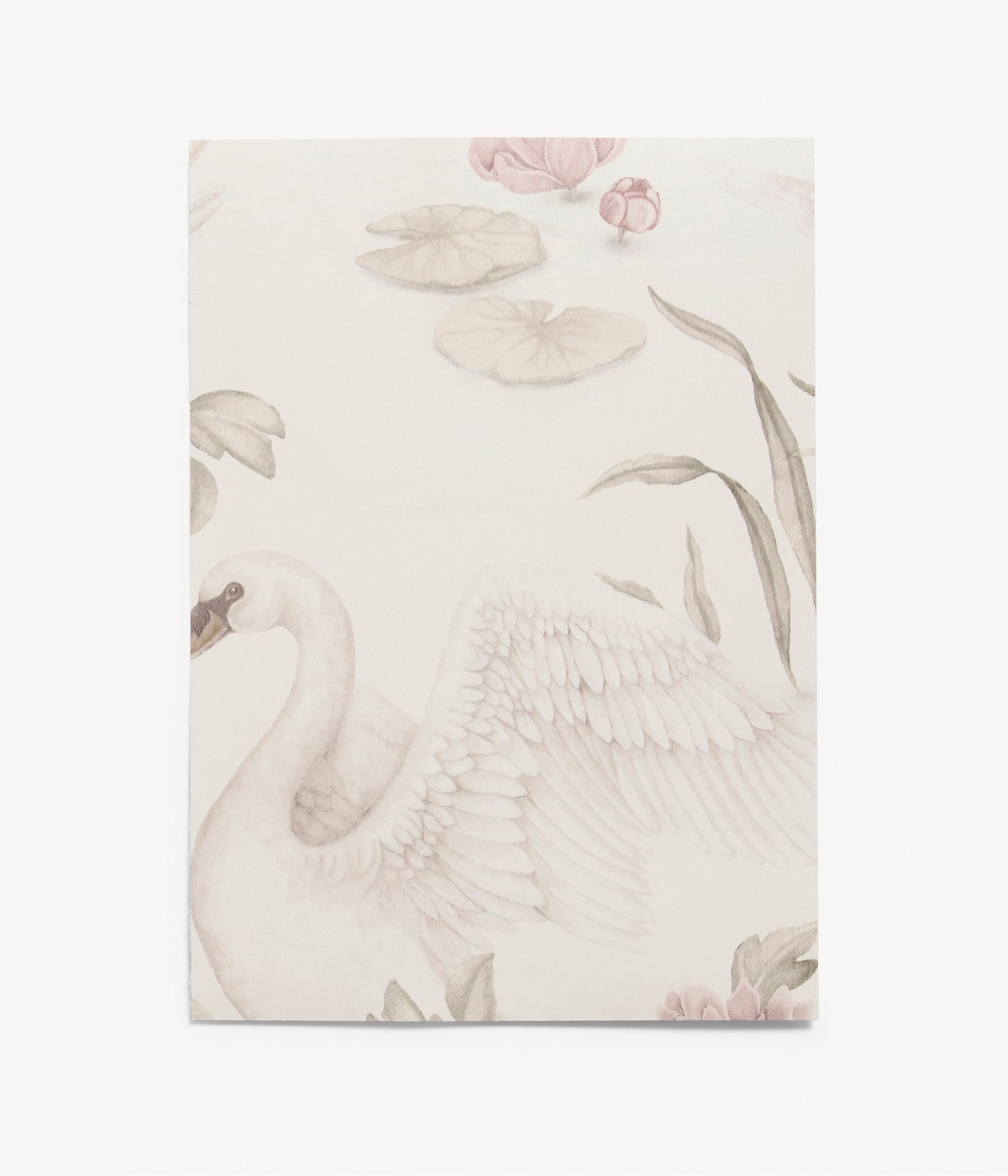 Nahaufnahme einer beigen Tapetenprobe mit weißem Schwan, rosa Blumen und grünem Seerosenmuster.