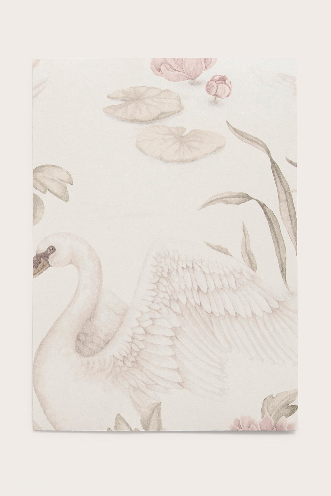 Front view: beige wallpaper sample with a white swan, lily pads, and pink water lilies.