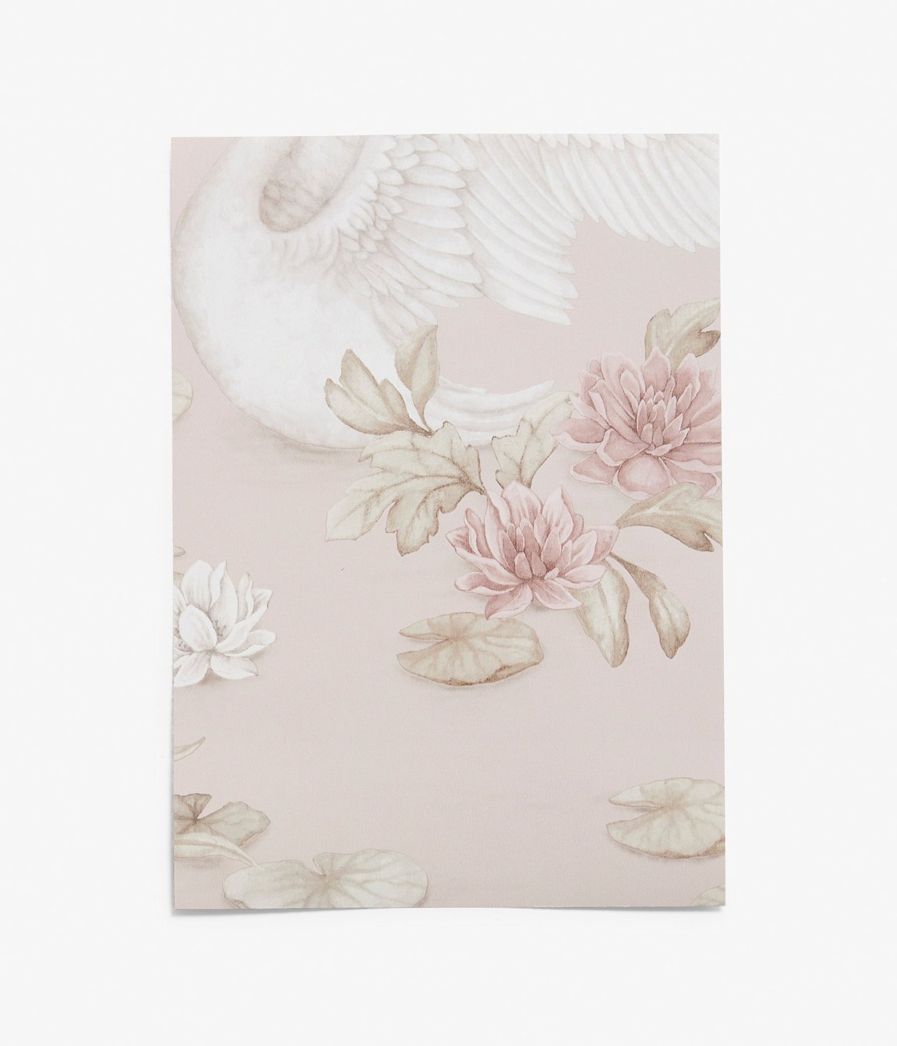 Vorderansicht einer hellrosa Tapetenprobe mit weißem Schwan, rosa Blumen und Seerosenmuster.