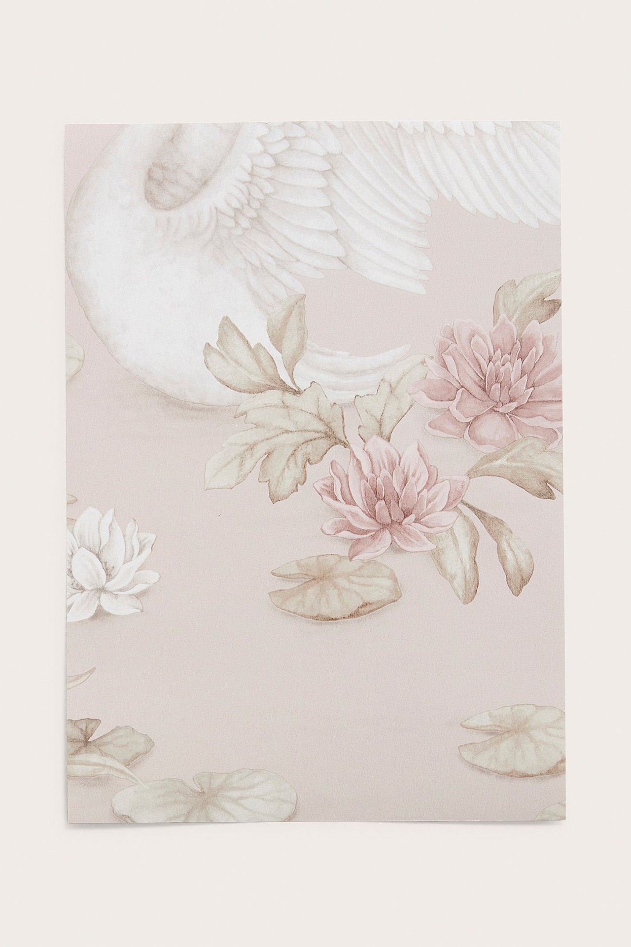 Nahaufnahme einer hellrosa Tapetenprobe mit weißem Schwan, rosa und weißen Seerosen sowie Seerosenblättern.