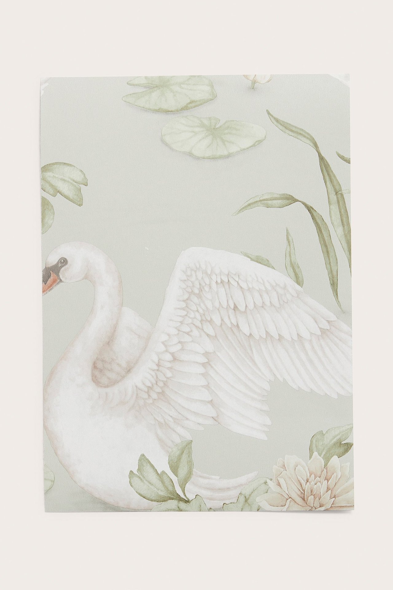 Front view of a light green wallpaper sample with a white swan and water lily pattern.