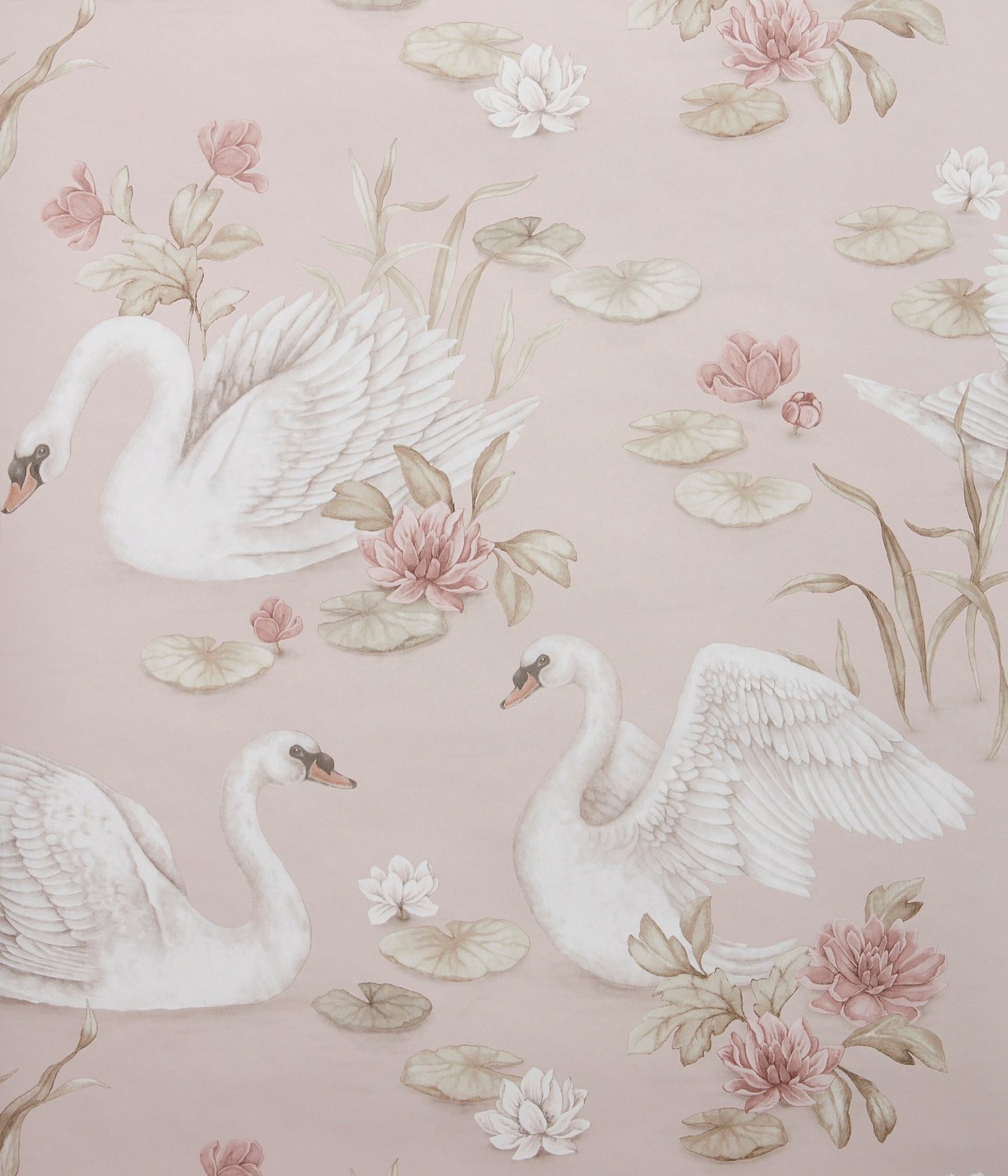 Nahaufnahme einer hellrosa Tapete mit Muster aus weißen Schwänen, rosa Seerosen und grünen Seerosenblättern.
