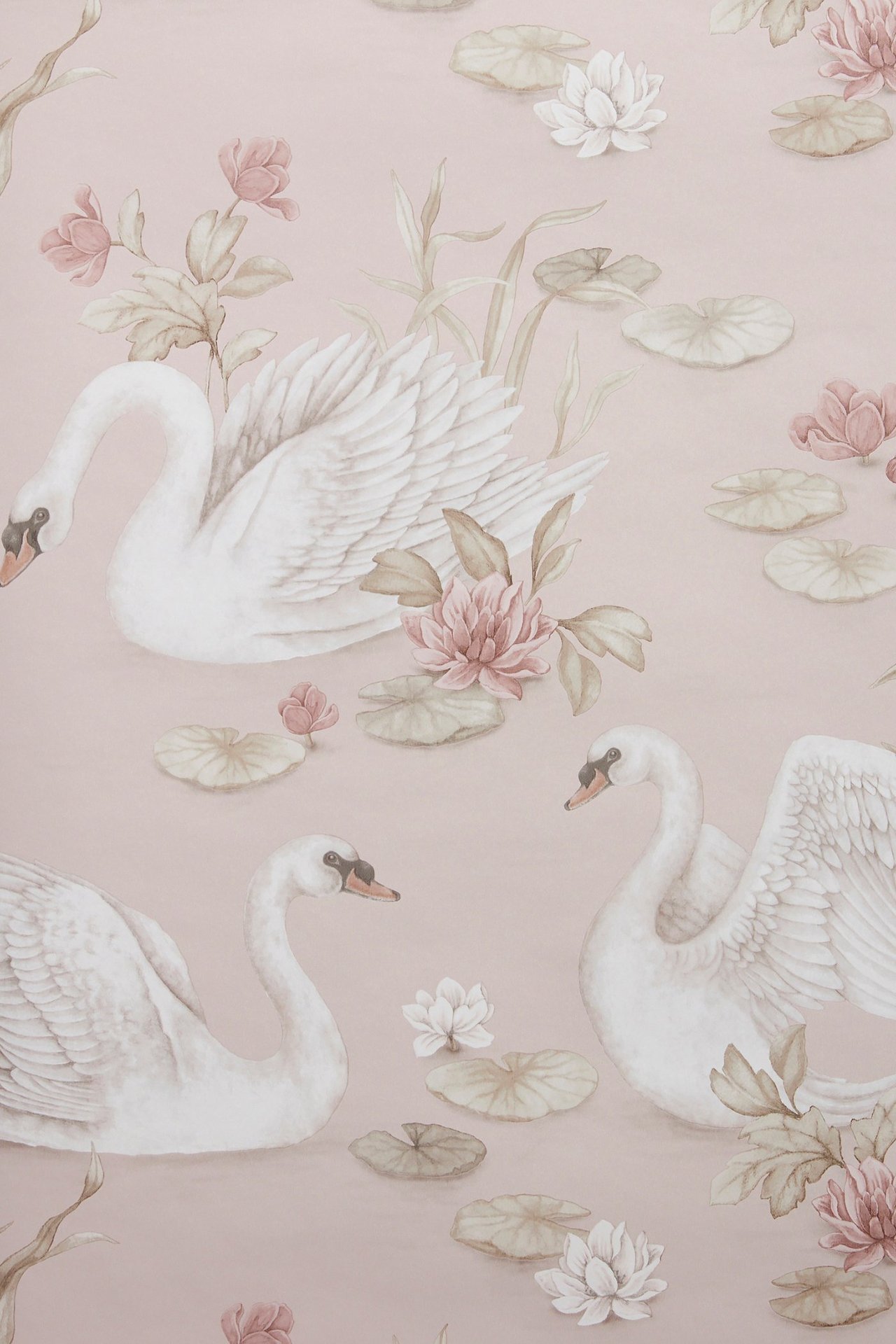 Vorderansicht einer hellrosa Tapete mit einem Muster aus weißen Schwänen und rosa Seerosen.