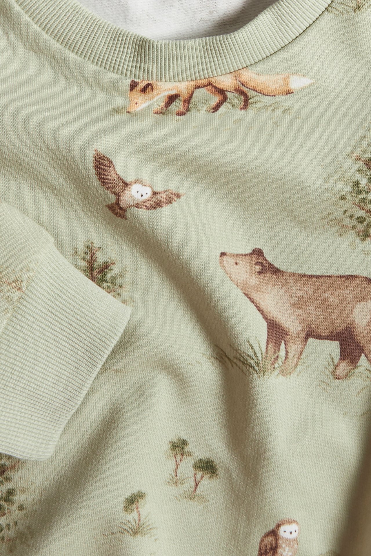 Woodland sweatshirt - Light green - 1