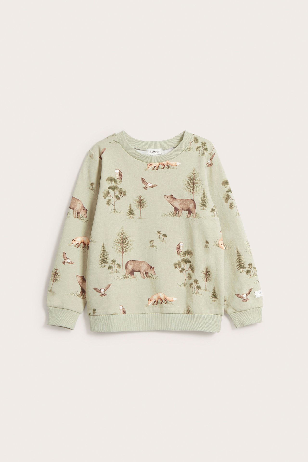 Woodland sweatshirt - Light green - 2