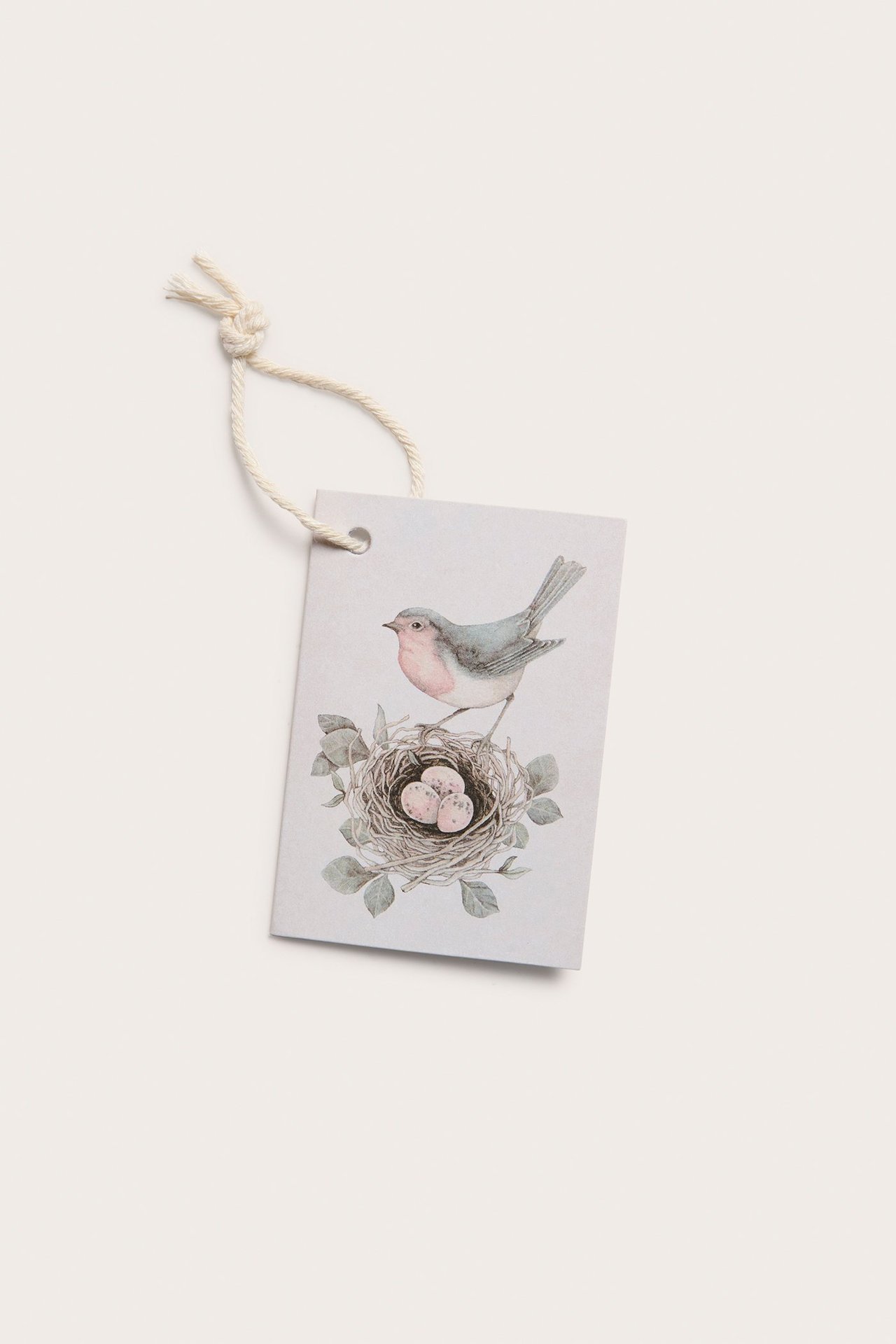 Blick von oben auf eine rechteckige blaue Papier-Geschenkkarte mit Vogel- und Nestmuster mit Eiern.