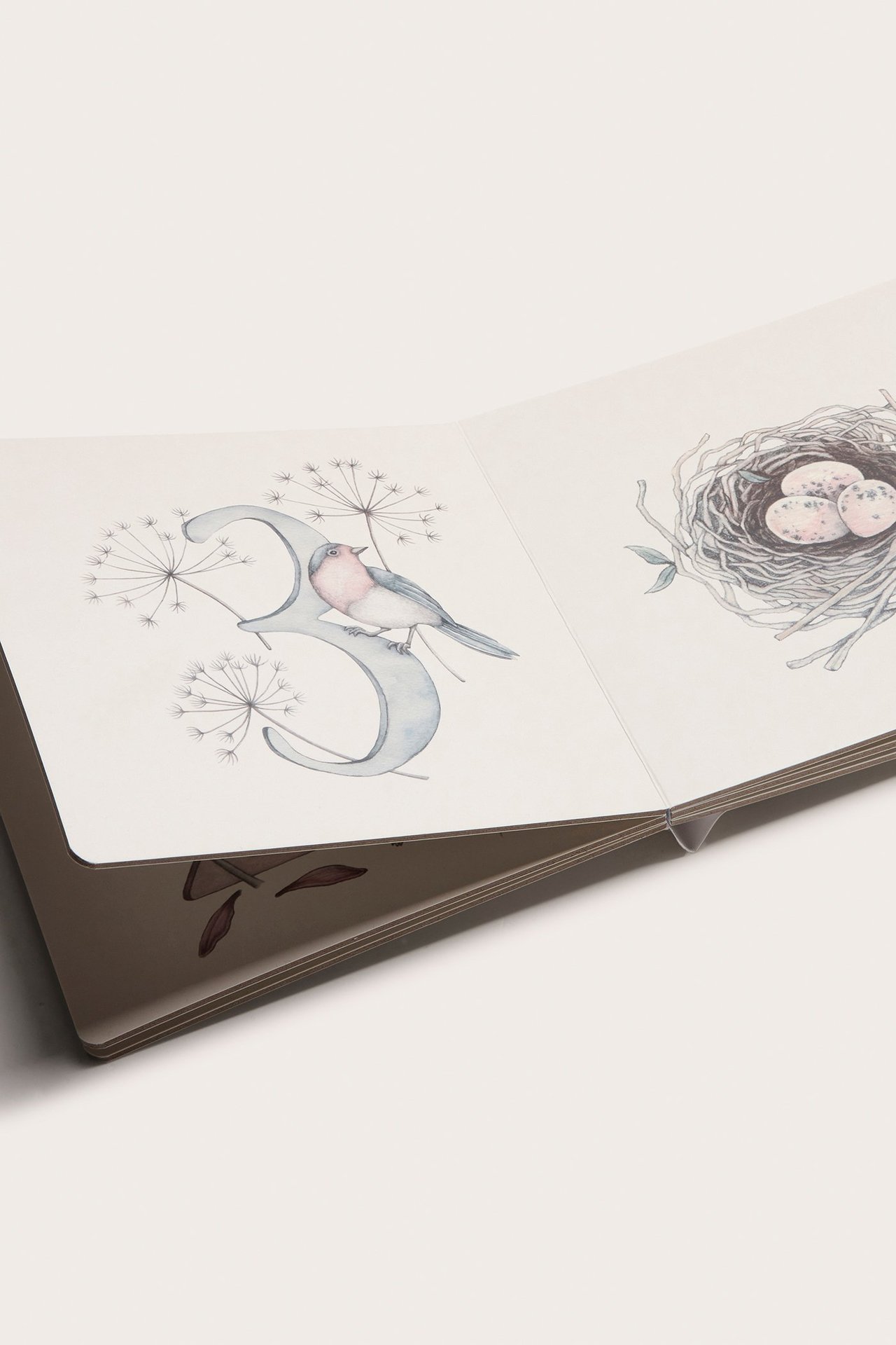 Nahaufnahme eines offenen cremeweißen Hardcover-Bilderbuchs mit Vogel- und Nestillustrationen.