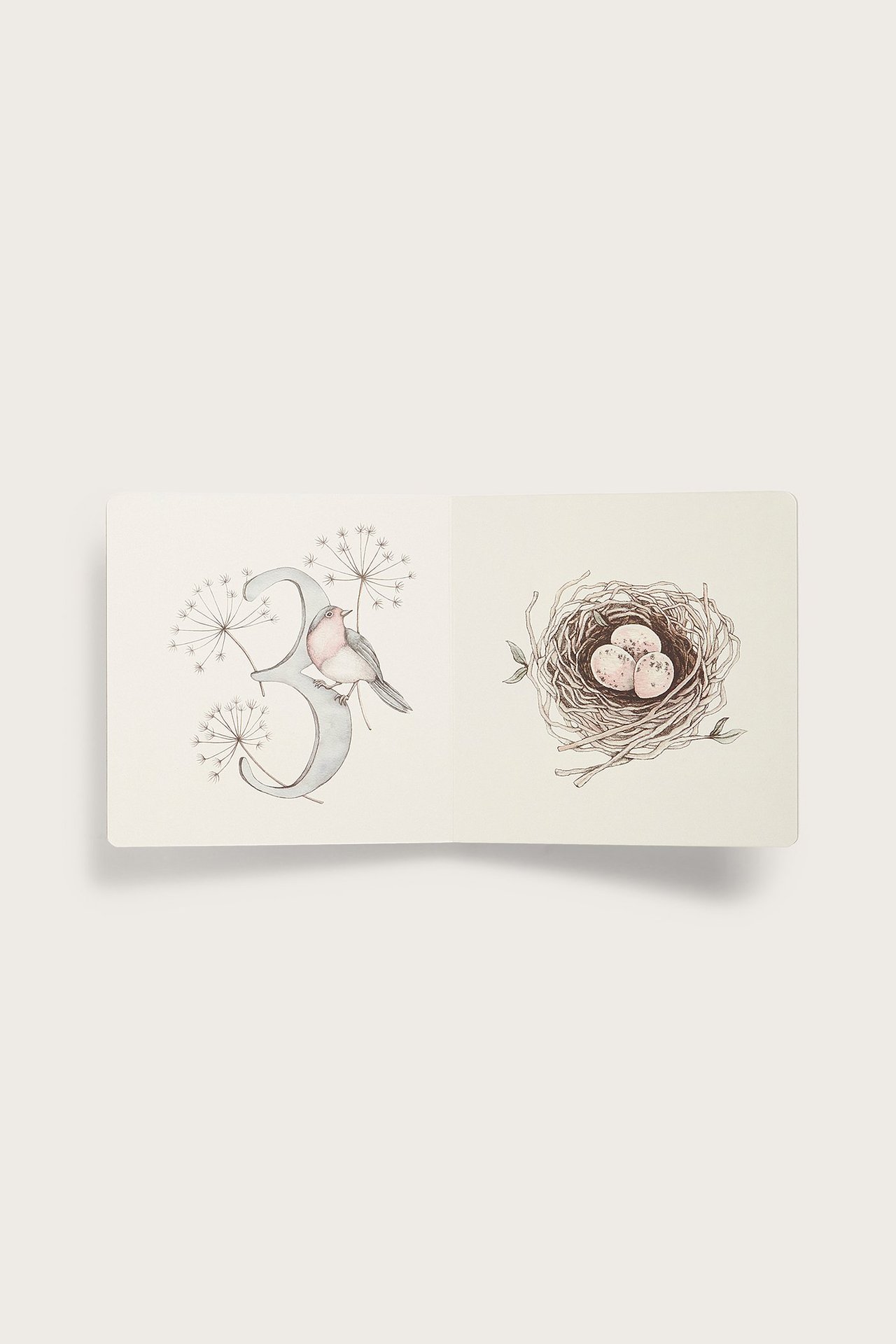 Offenes cremefarbenes Bilderbuch mit Hardcover, zeigt Vogel, Zahl 3 und Vogelnestmuster.