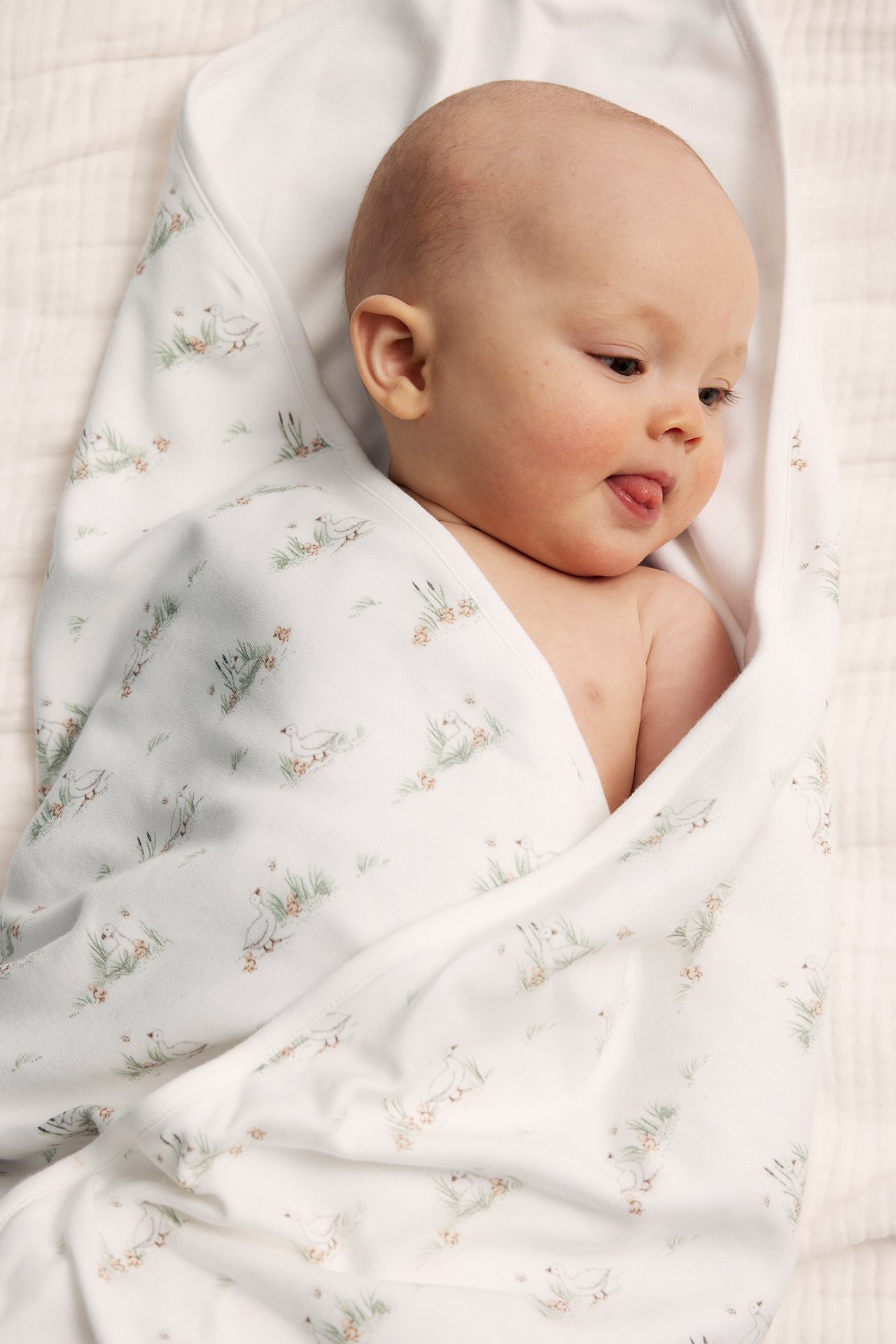 Draufsicht auf ein Baby, eingewickelt in eine cremefarbene Baumwolldecke mit Entenmuster.