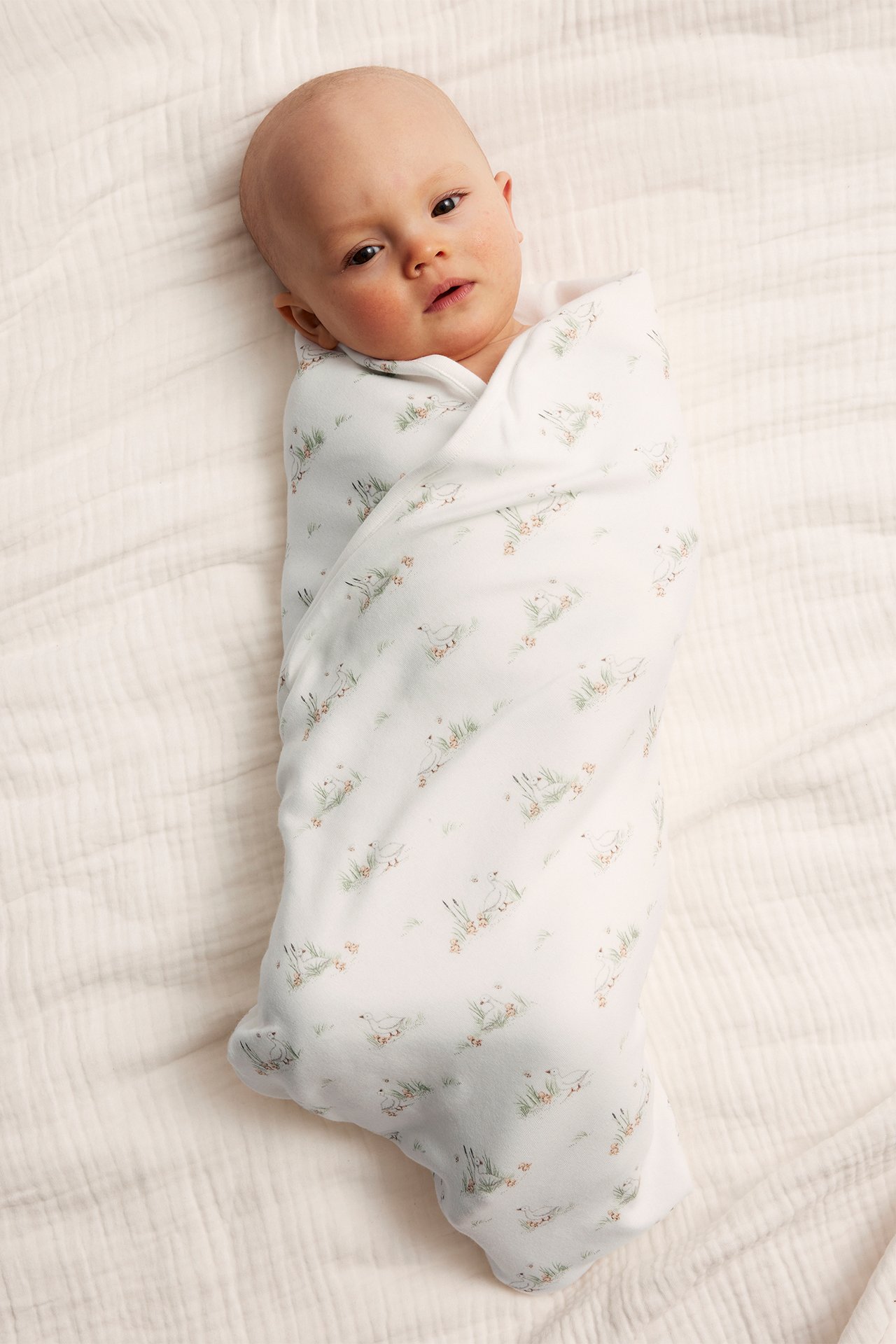 Draufsicht auf ein Baby, eingewickelt in eine cremefarbene Baumwolldecke mit Tiermuster.