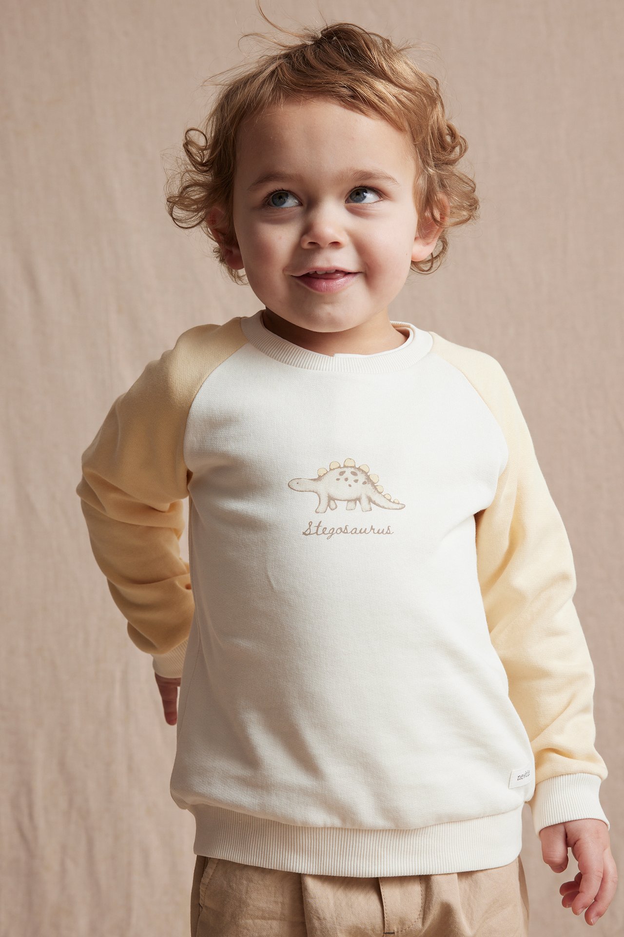 Vorderansicht: Baby-Junge in zweifarbigem Baumwoll-Sweatshirt mit Stegosaurus-Print und hellbrauner Hose.