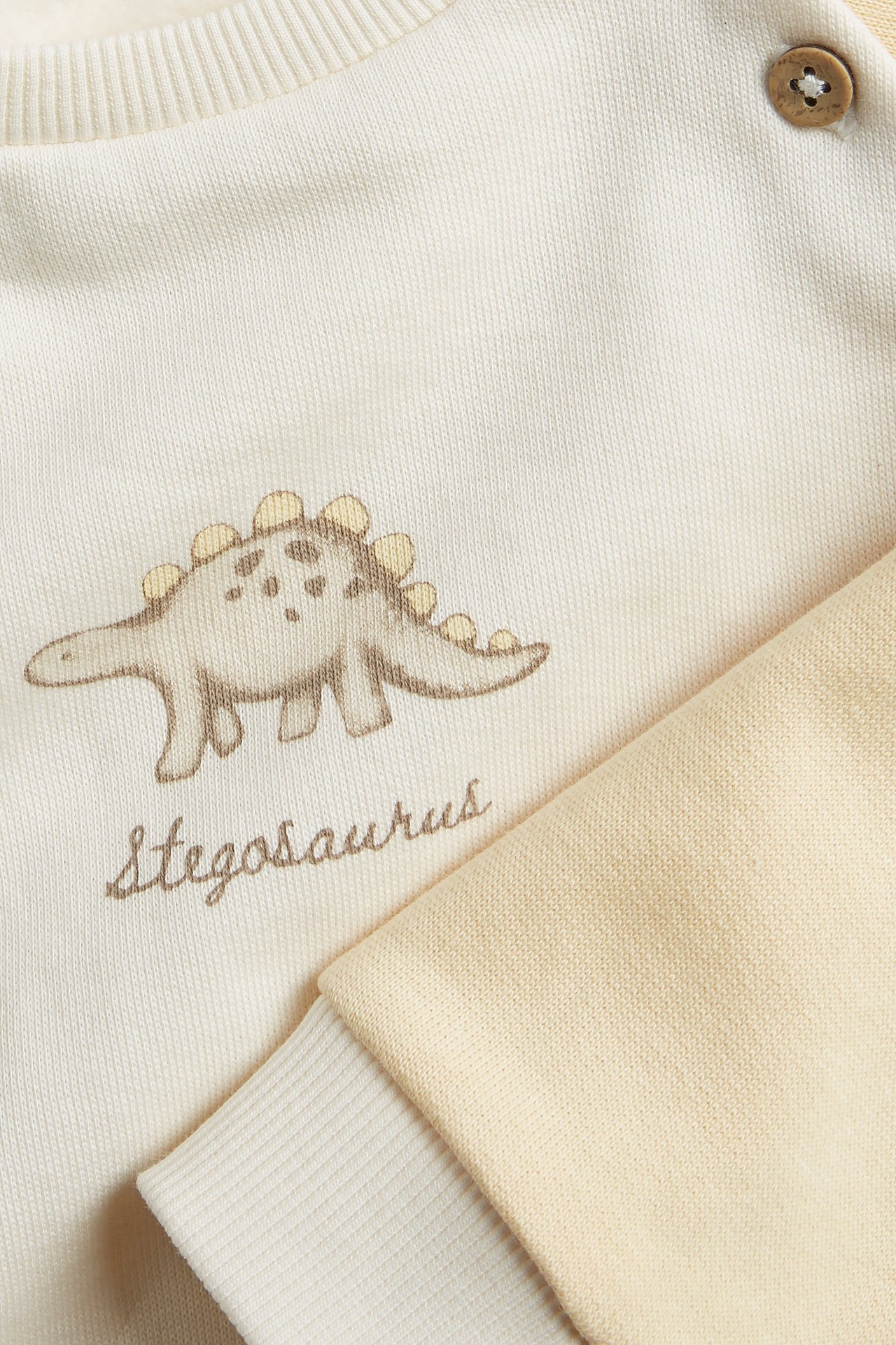 Close-up front view of an off-white cotton sweatshirt with a Stegosaurus print and two buttons.