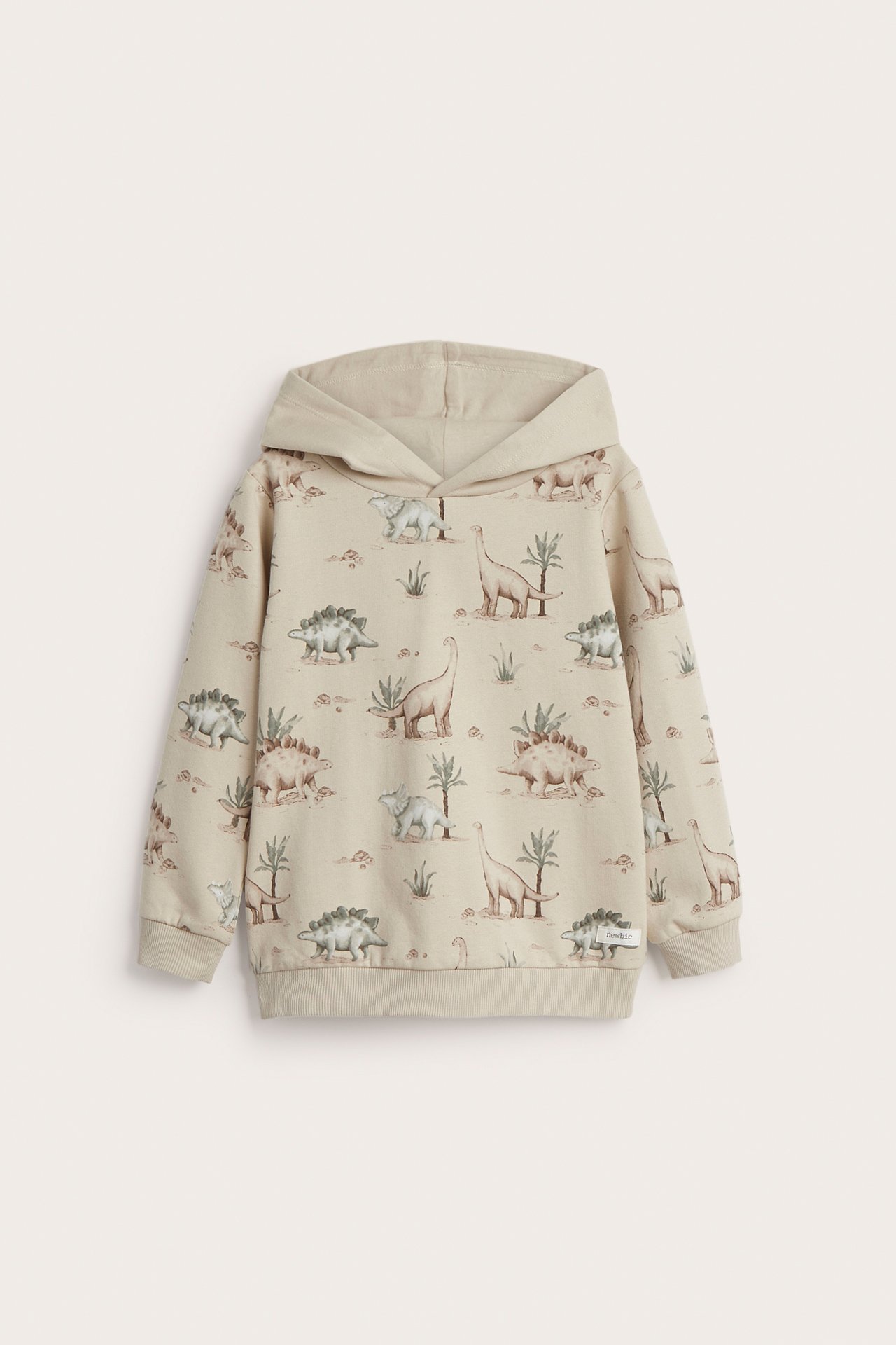 Hoodie with dinosaur motif