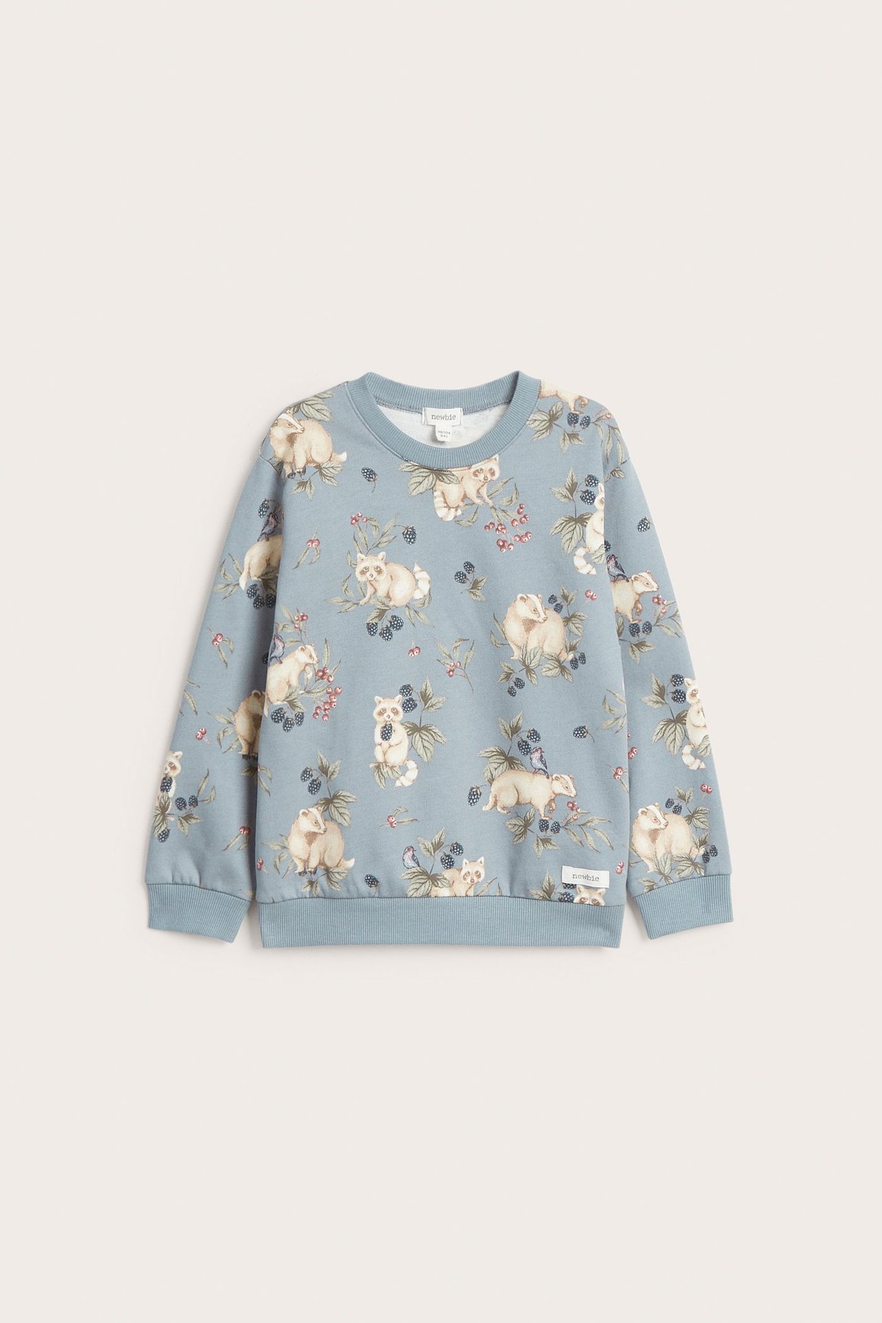 Vorderansicht eines hellblauen Kinder-Sweatshirts aus Baumwolle mit Tiermuster und Beeren.