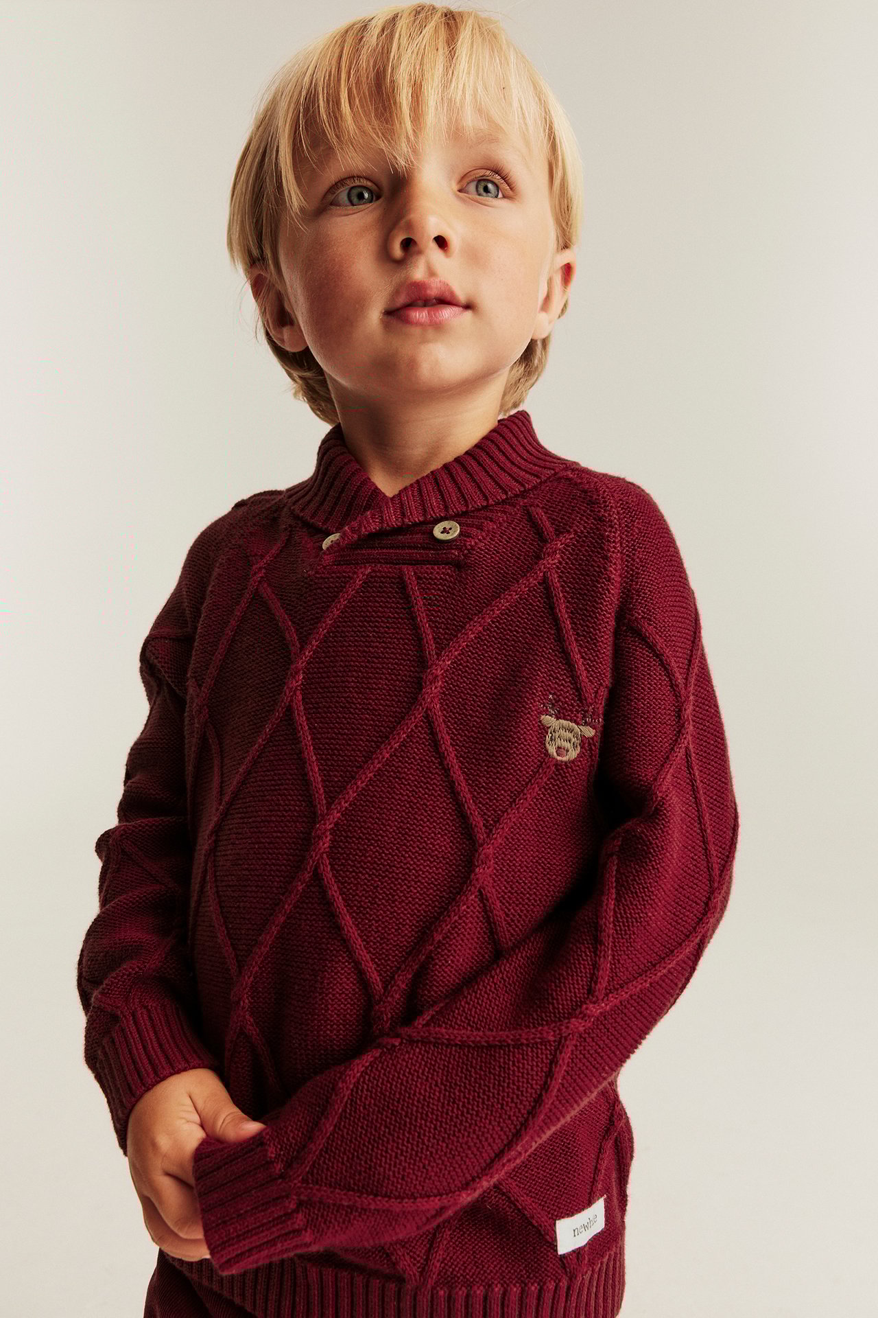 Junge Mann in rotem Weihnachts-Sweater mit Stickerei, Schal-Kragen, Knöpfen, Bündchen.