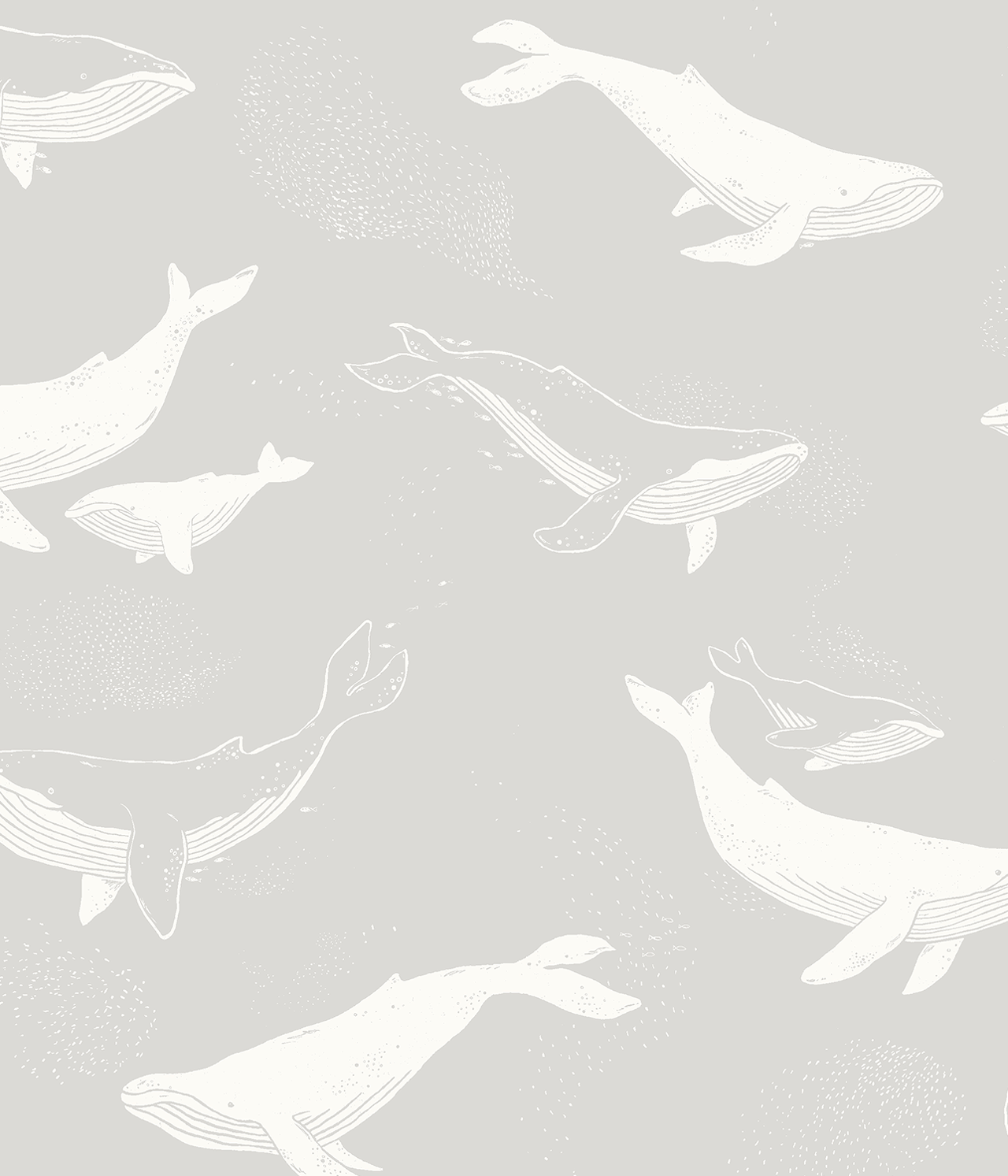 Whales light grey wallpaper - Grau - 1