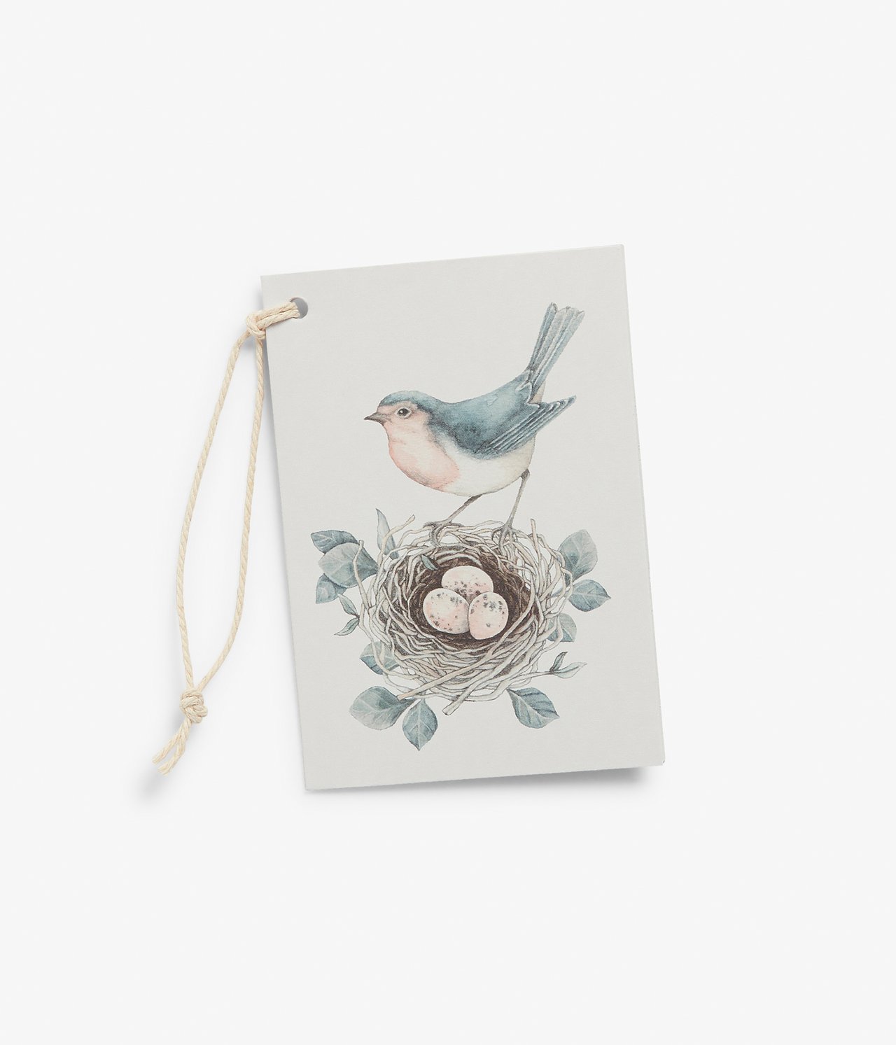 Ansicht von oben auf eine hellblaue, gemusterte Papier-Geschenkkarte mit Vogel- und Nestdruck und Schnur.