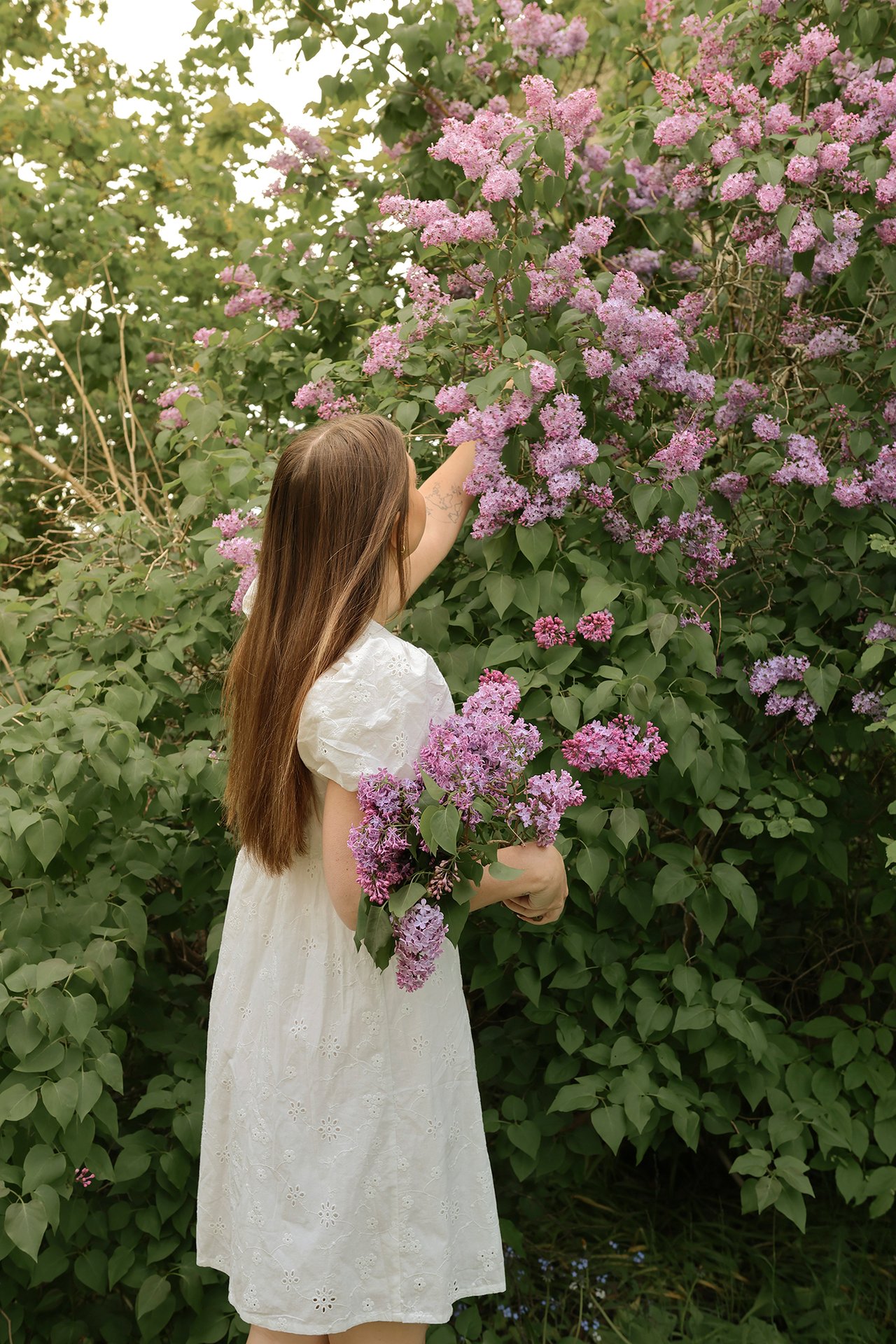 Woman in offwhite embroidered short cotton dress with puff sleeves, holding and picking lilac flowers.