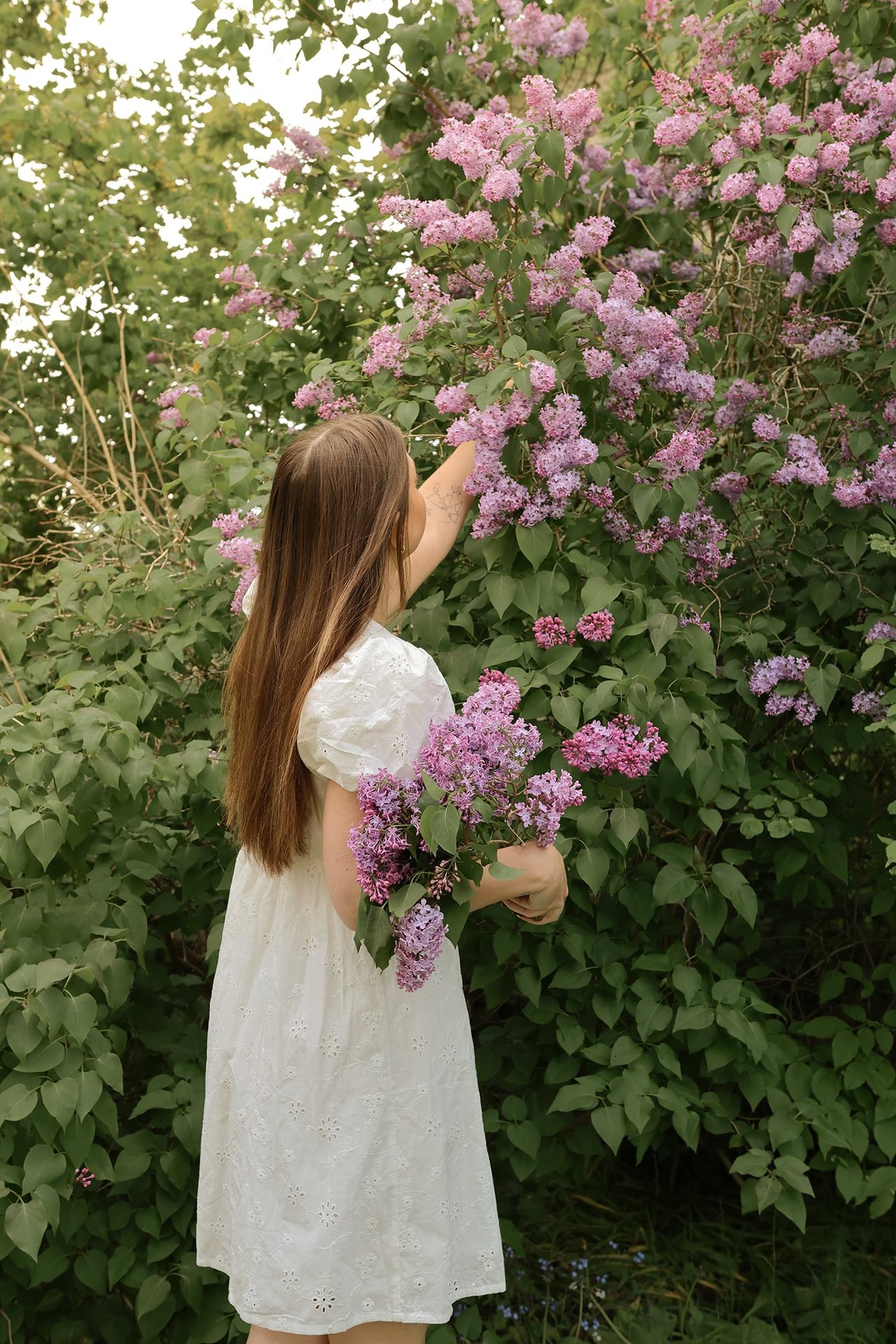 Woman in offwhite embroidered short cotton dress with puff sleeves, holding and picking lilac flowers.