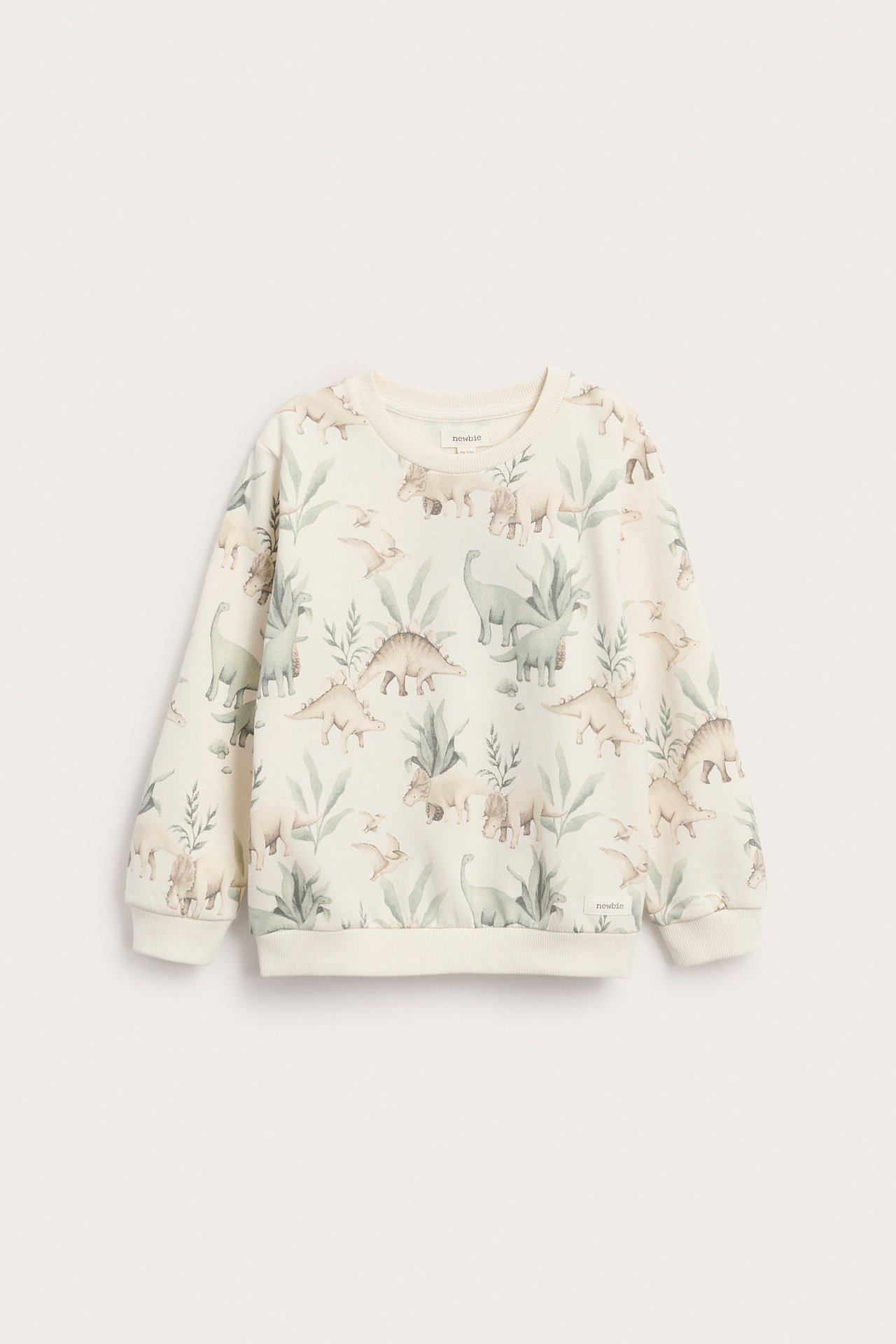 Vorderansicht eines cremefarbenen Kinder-Sweatshirts mit Dinosaurier- und Blattmuster.