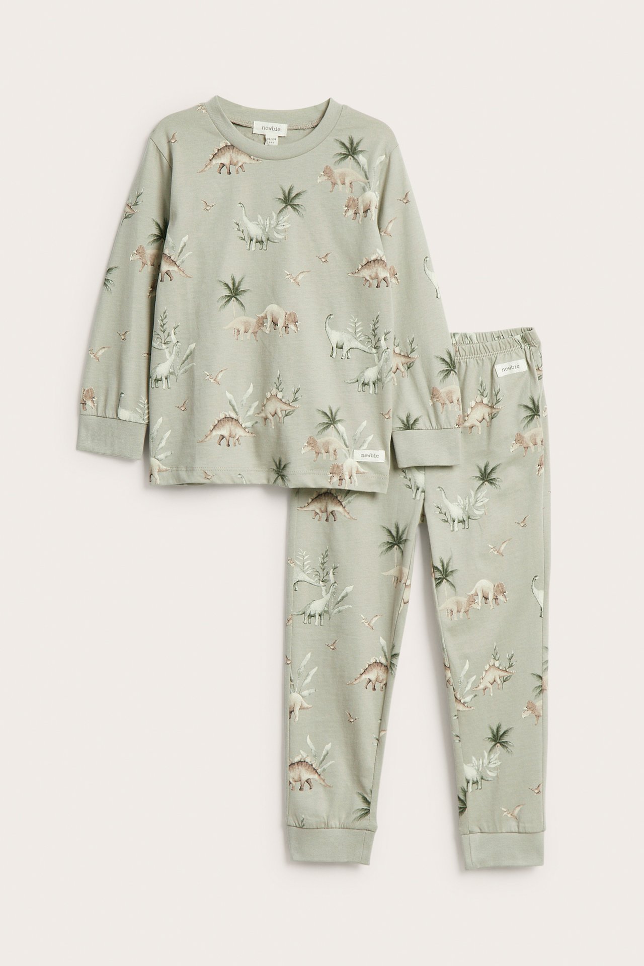 Vorderansicht: Hellgrüner zweiteiliger Kinder-Baumwollpyjama mit Allover-Dinosaurier-Print.