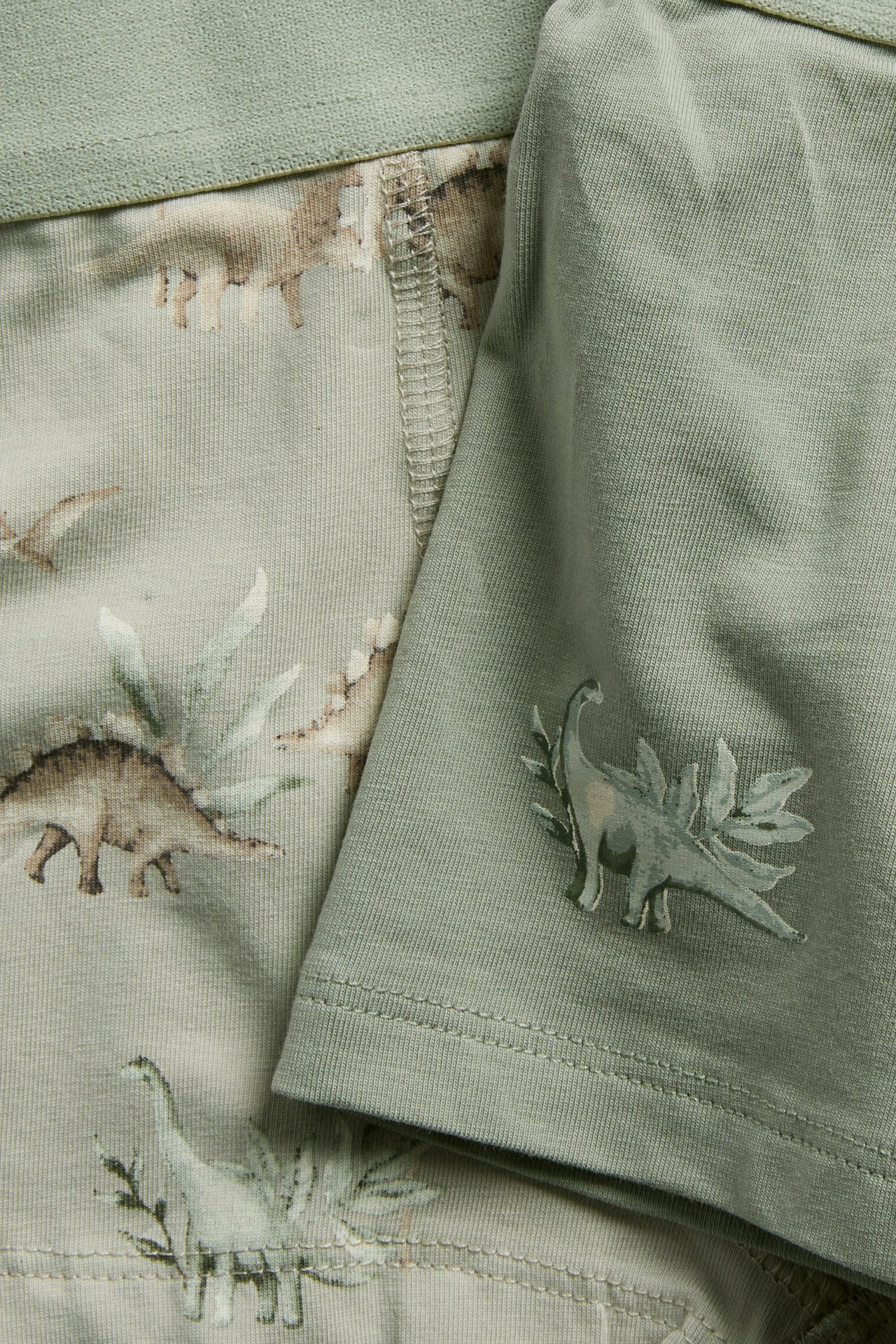 Close-up of kid's light green 2-pack boxers: one patterned with dinosaurs, one plain with a dinosaur print.