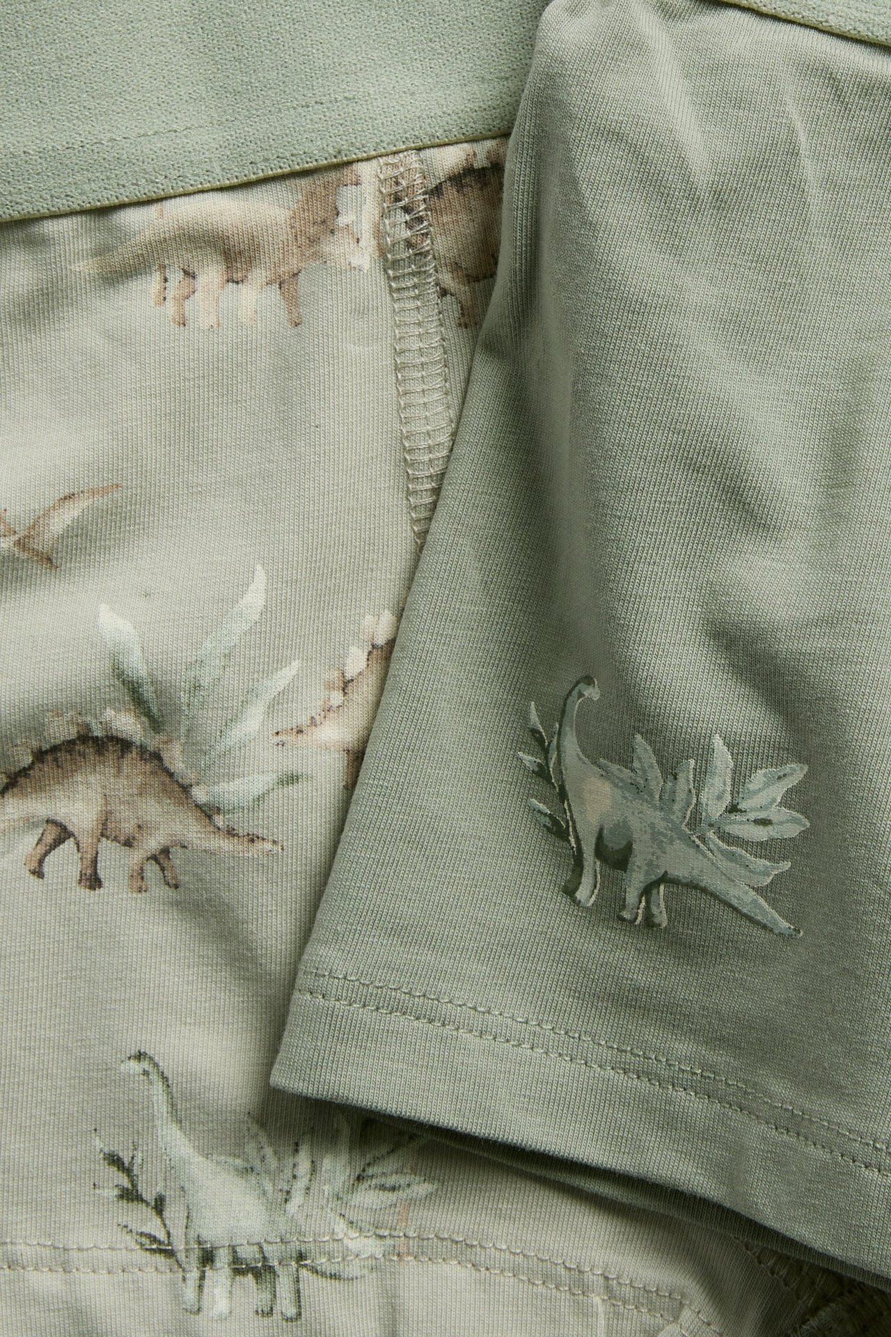 Nahaufnahme von hellgrünen Kinder-Boxershorts (2er-Pack): eine mit Dinosaurier-Muster, eine unifarben mit Dinoprint.