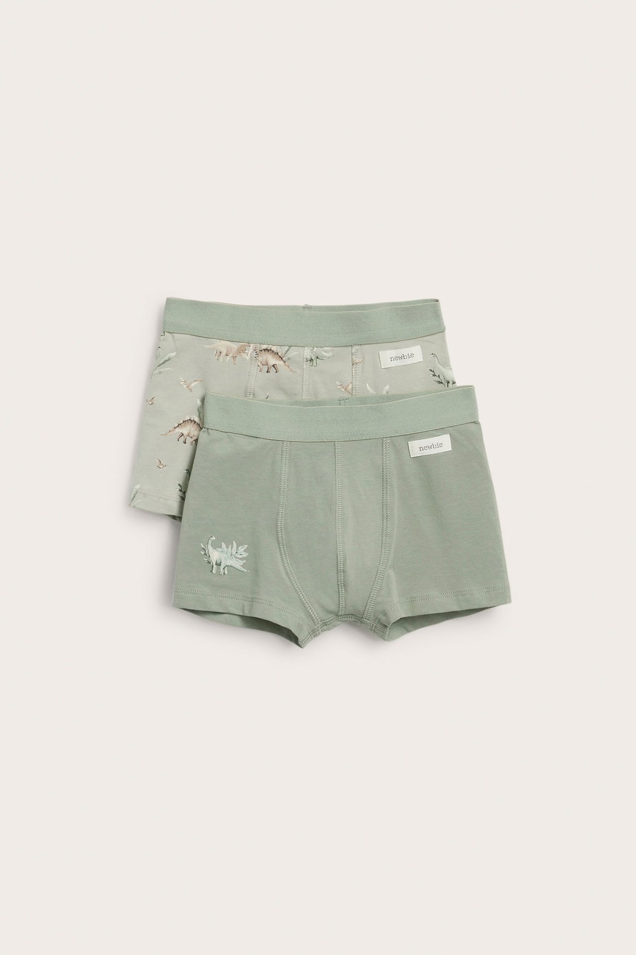 Vorderansicht: Zwei hellgrüne Kinder-Boxershorts aus Baumwolle. Eine unifarben mit Dino-Druck, eine mit Allover-Dinosaurier-Muster.