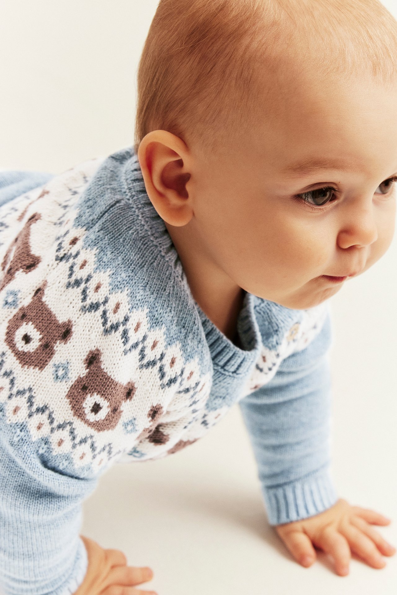Jacquard knitted sweater with teddy bears