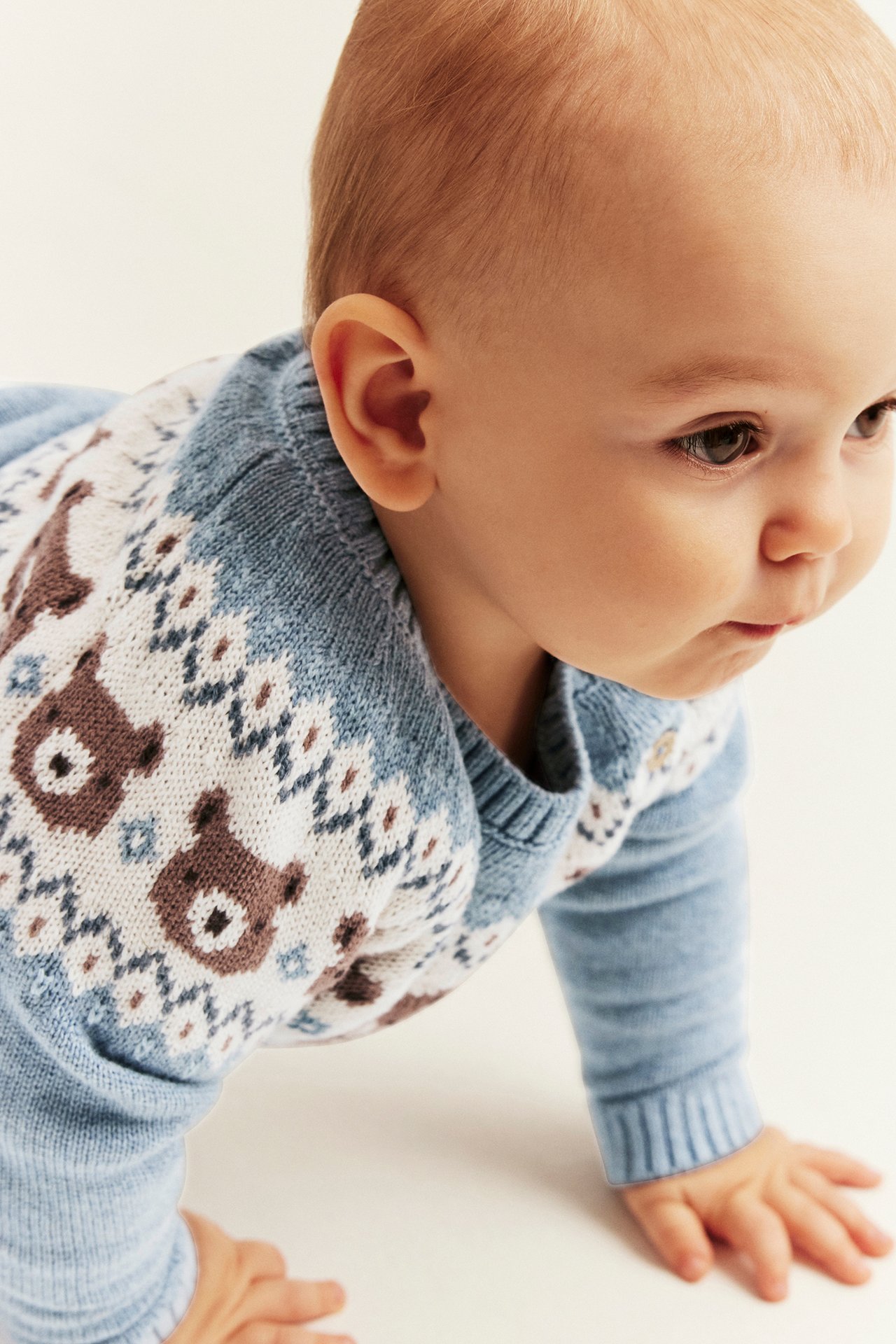 Jacquard-Strickpullover mit Teddybären