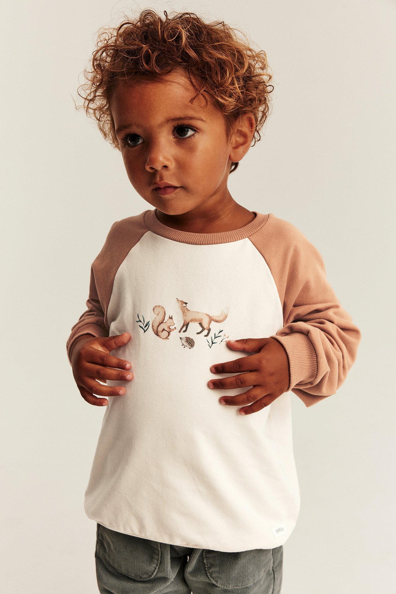 Front view of a kid's cream and brown raglan sweatshirt with fox, squirrel, hedgehog print.